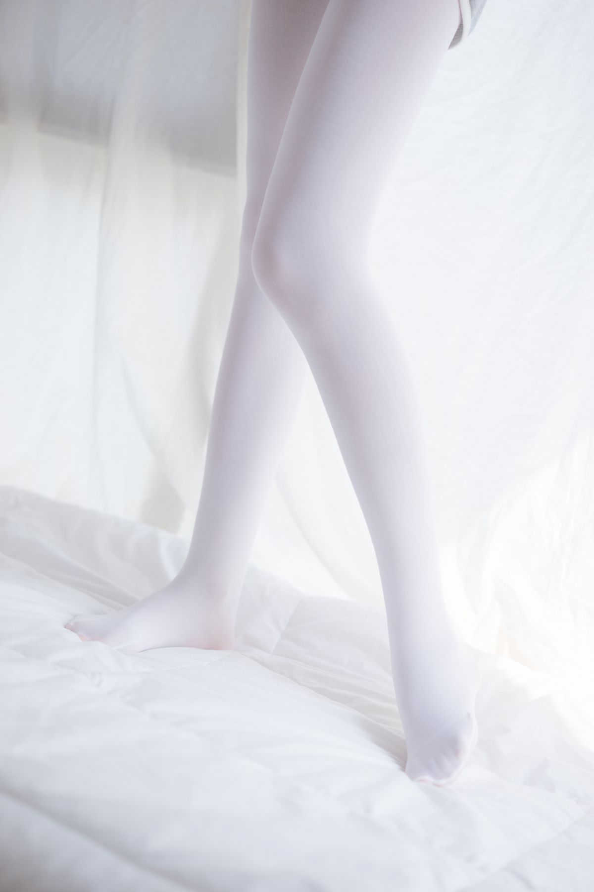 喵写真012插图5