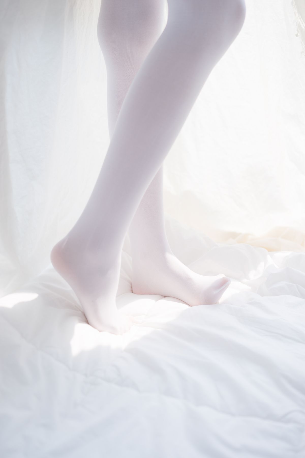 喵写真012插图8
