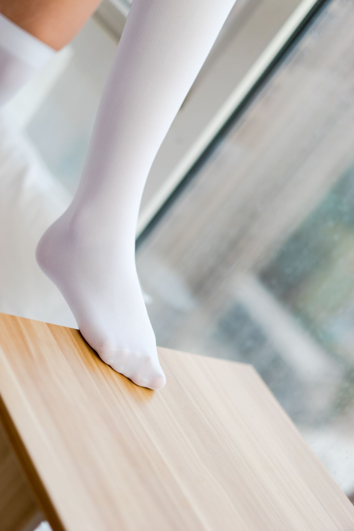 喵写真019插图6