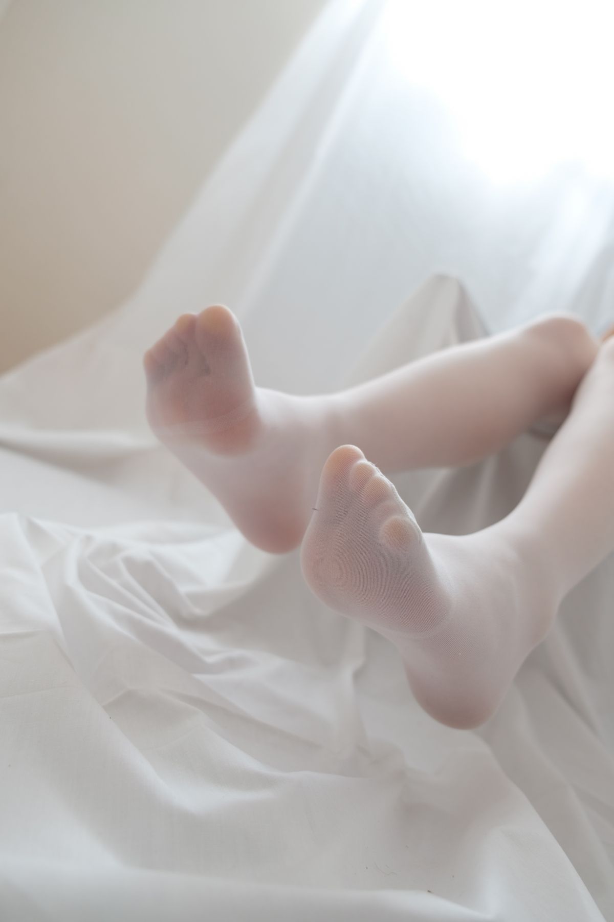 喵写真021插图1
