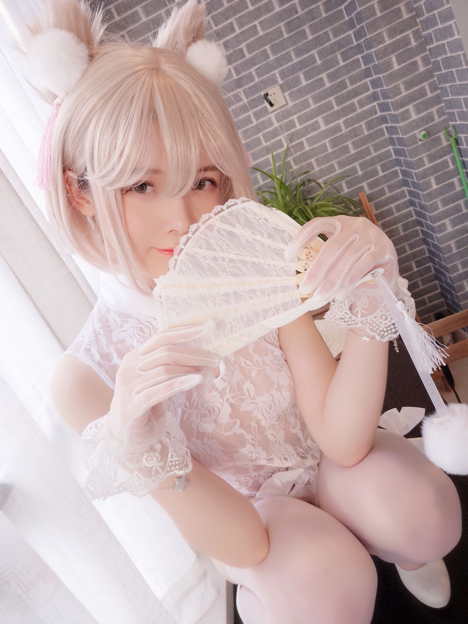 一小央泽18家养小动物插图4
