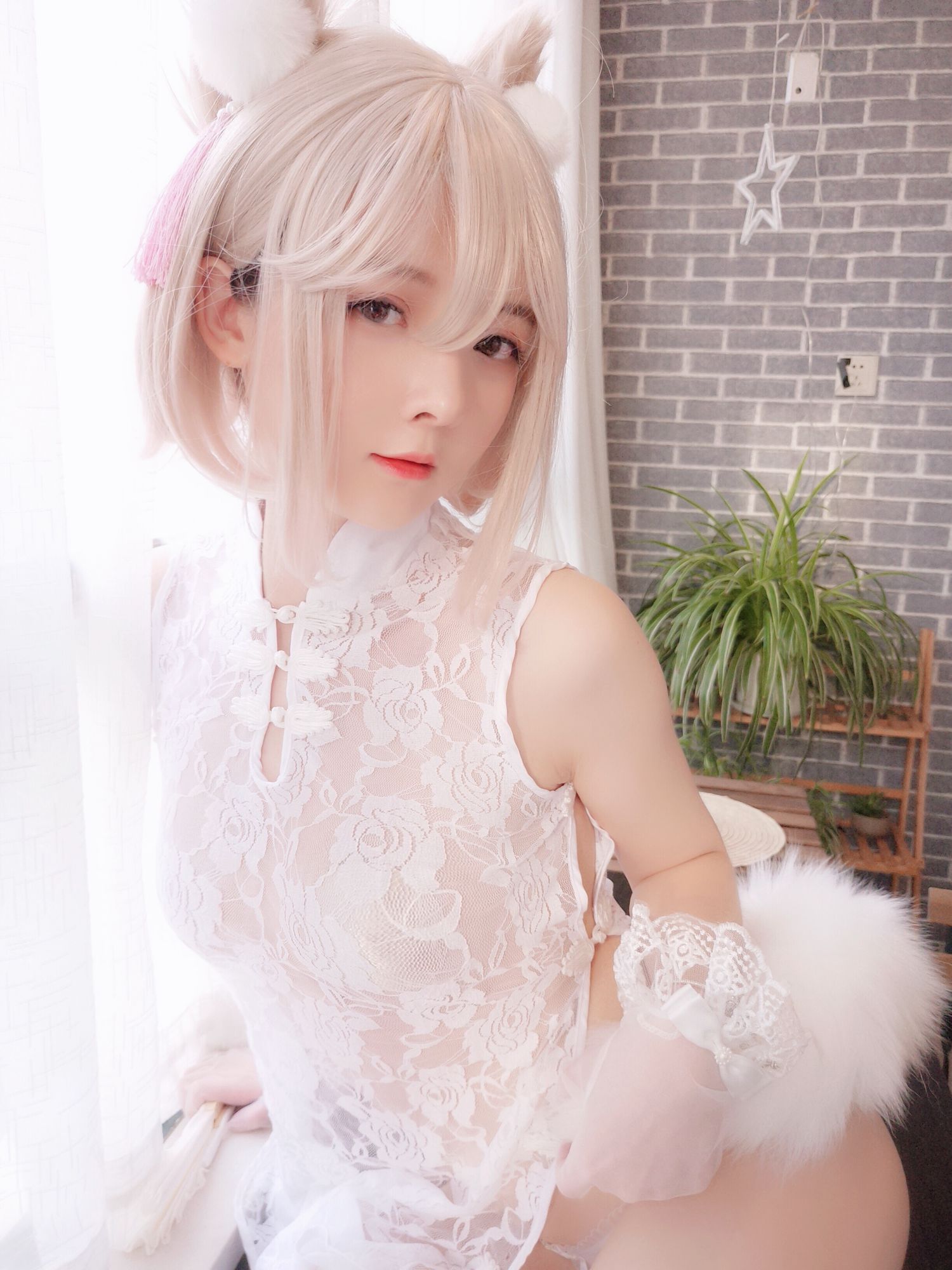 一小央泽18家养小动物插图6