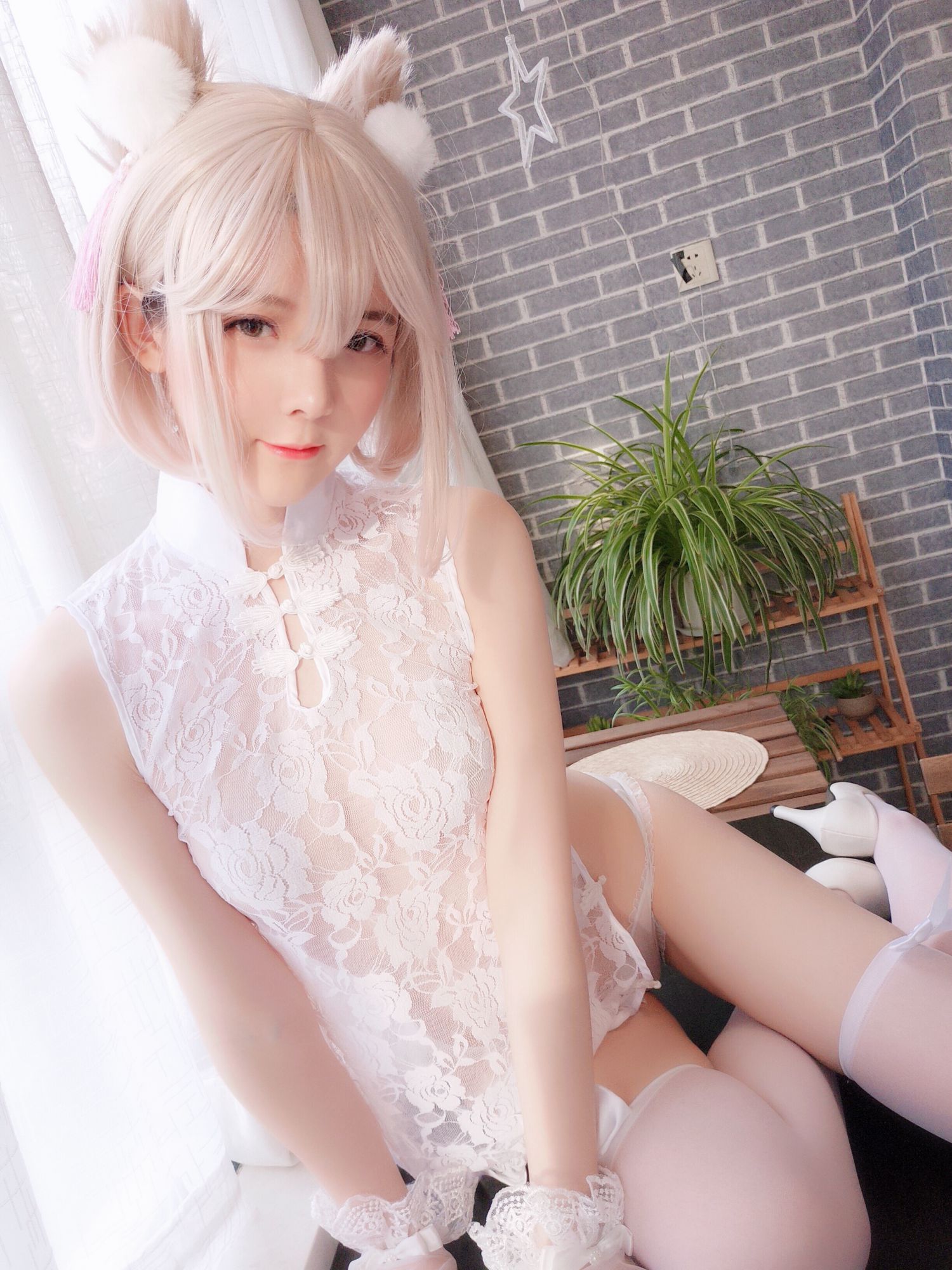 一小央泽18家养小动物插图1