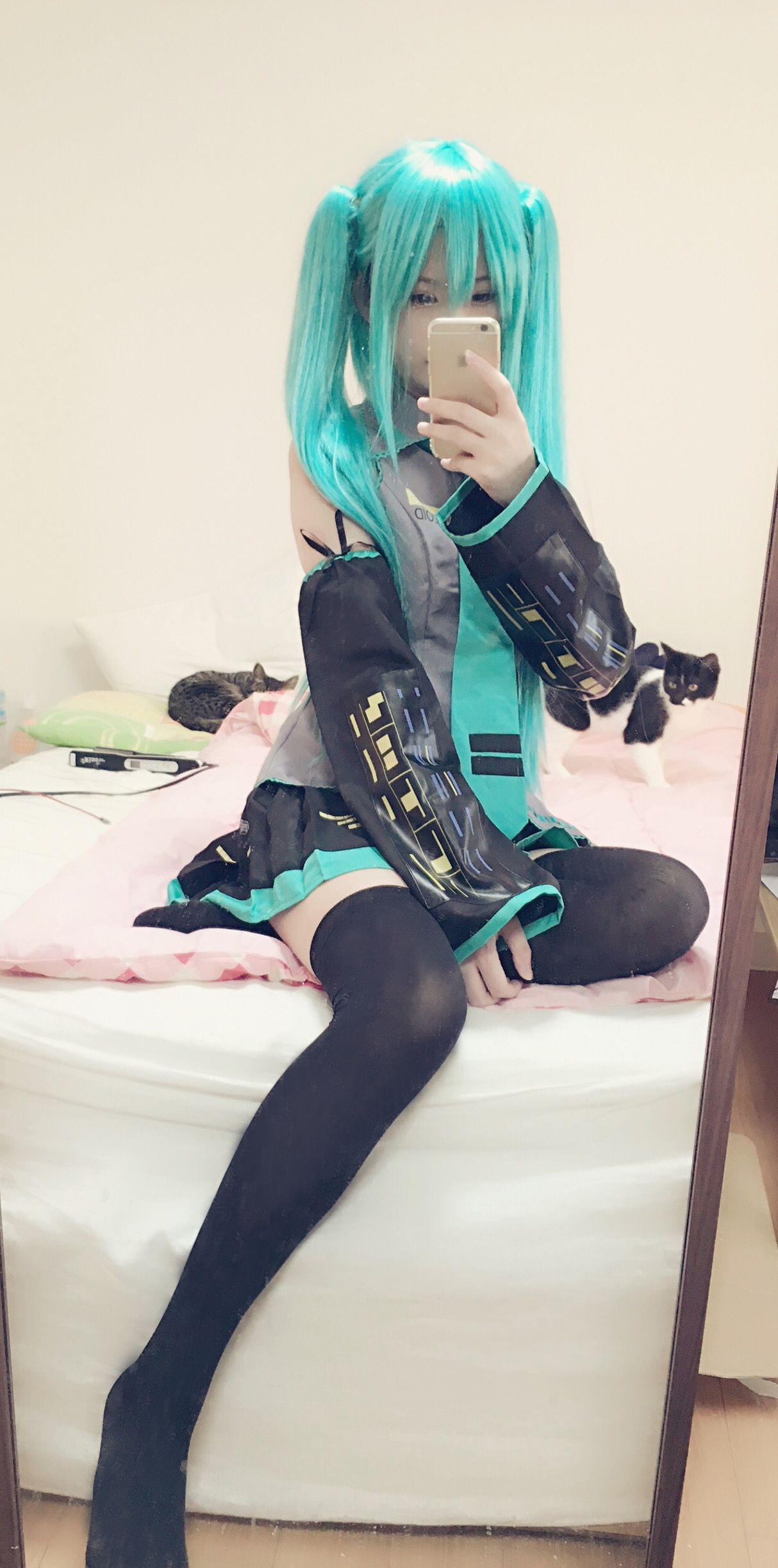 习呆呆-初音插图3