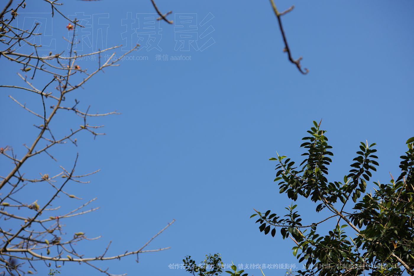 [见新摄影]NO.040 愿所求皆所愿，所盼皆所期 [218P]插图2