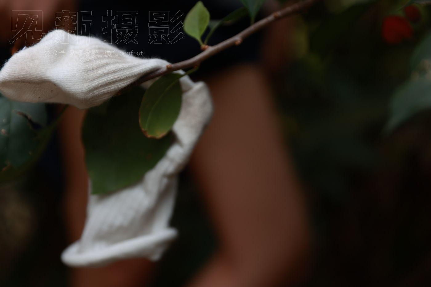 [见新摄影]NO.009-湿地公园阿贞 [2][142P]插图4