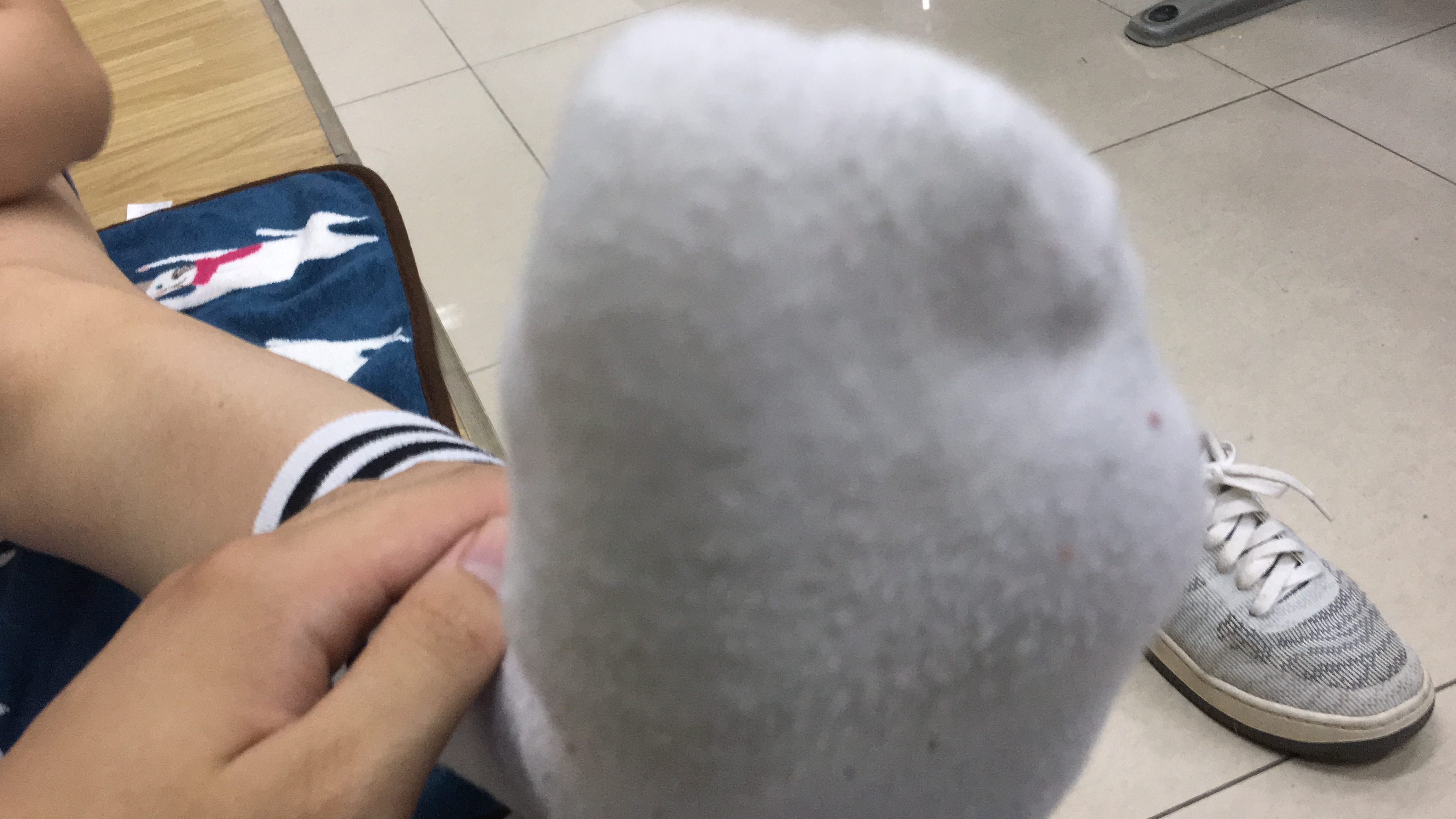BQ系列摄影作品 第02次拍摄 [4][147P]插图7
