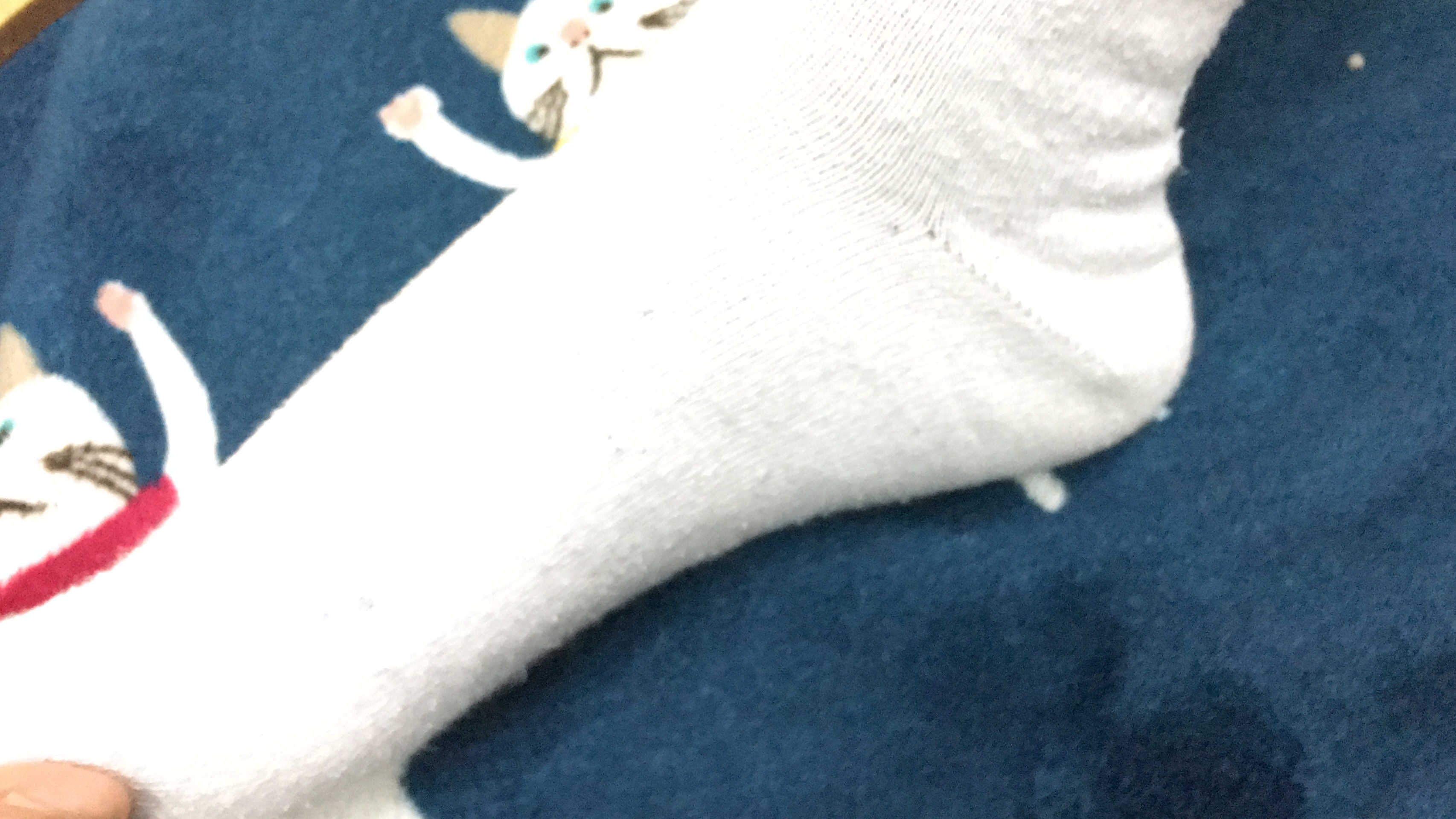 BQ系列摄影作品 第02次拍摄 [4][147P]插图8