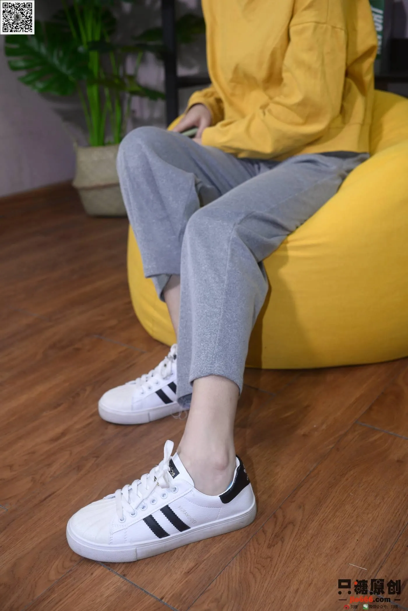 只糖视觉 167期：橘子 岁岁常欢愉 [217P]插图5
