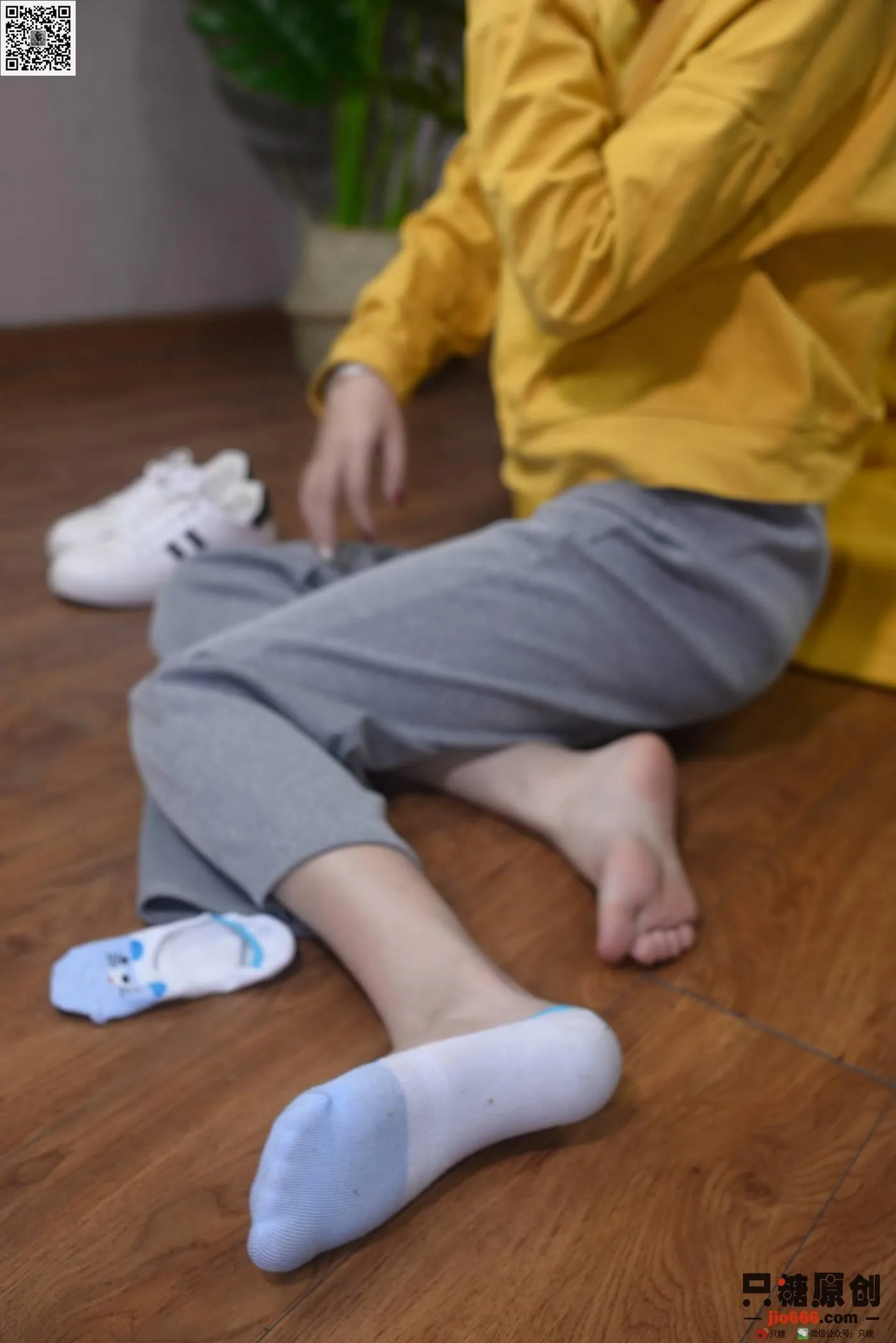 只糖视觉 167期：橘子 岁岁常欢愉 [217P]插图1