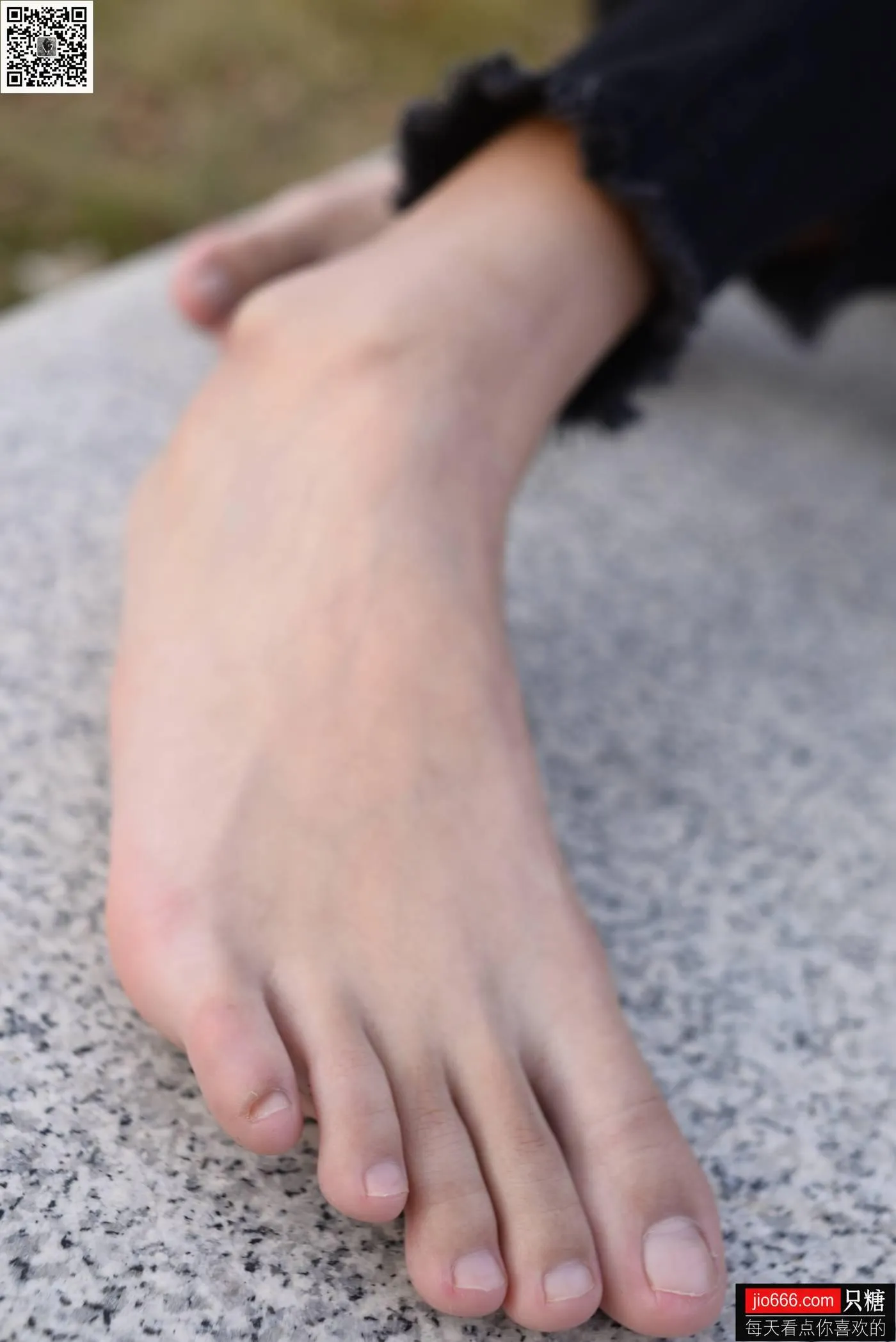 只糖视觉 123期：点点 玻璃晴朗，橘子辉煌 [2][144P]插图1