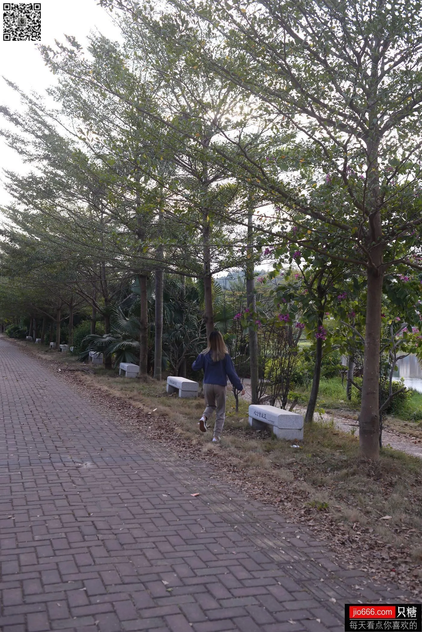 只糖视觉 122期：贝贝 故事里的小红花 [1][127P]插图8
