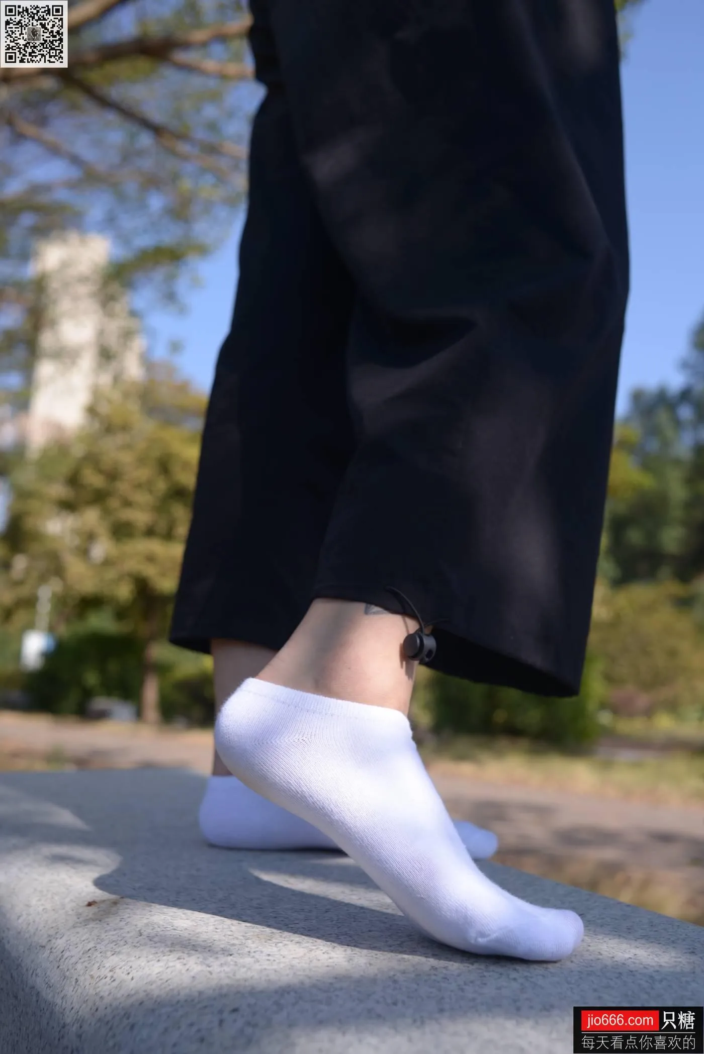 只糖视觉 130期：橙兔 阳光明媚，温暖如初 [2][136P]插图2