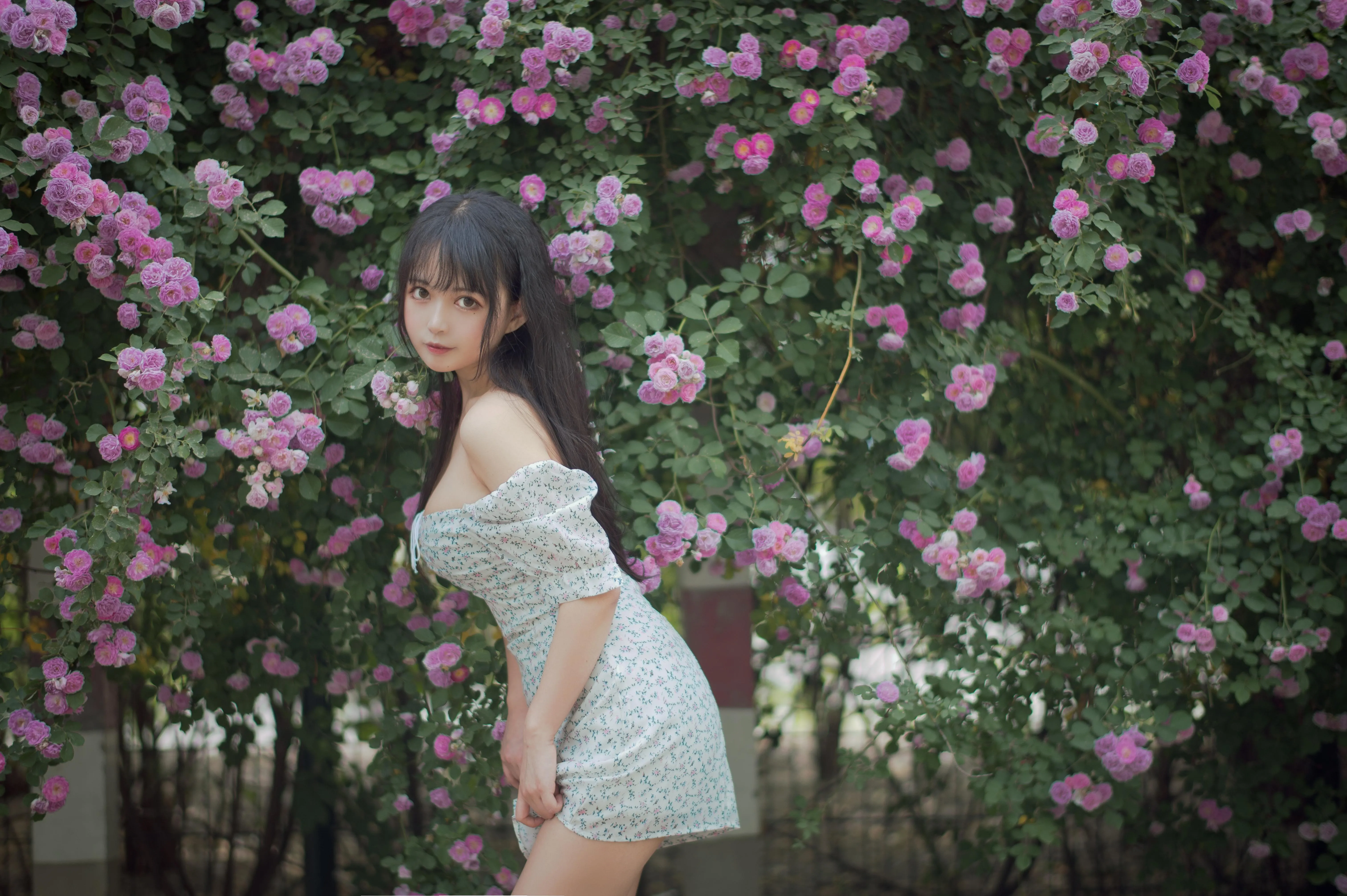 [喵糖映画] VOL.338 蔷薇少女[24P]插图5