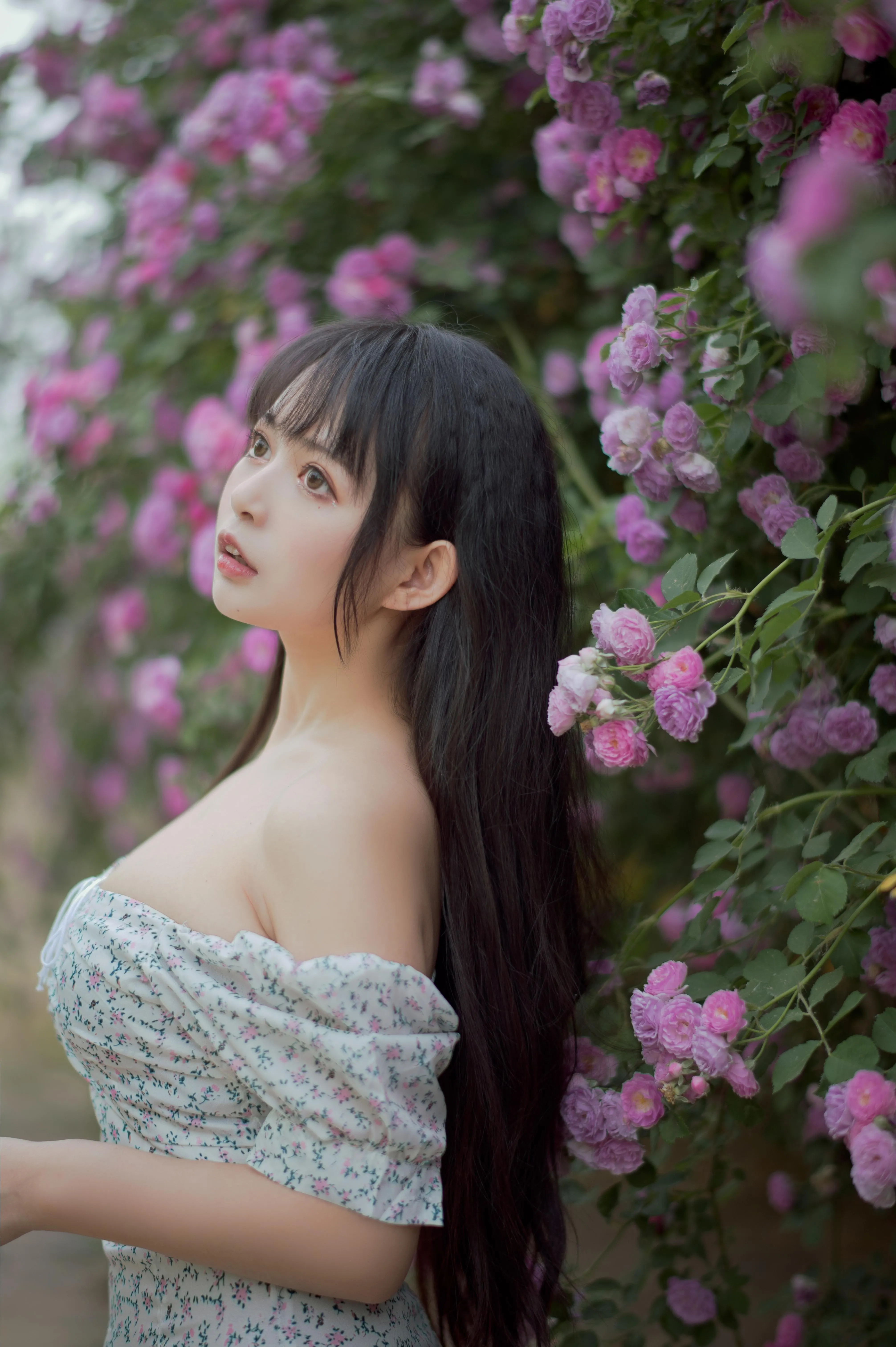 [喵糖映画] VOL.338 蔷薇少女[24P]插图8