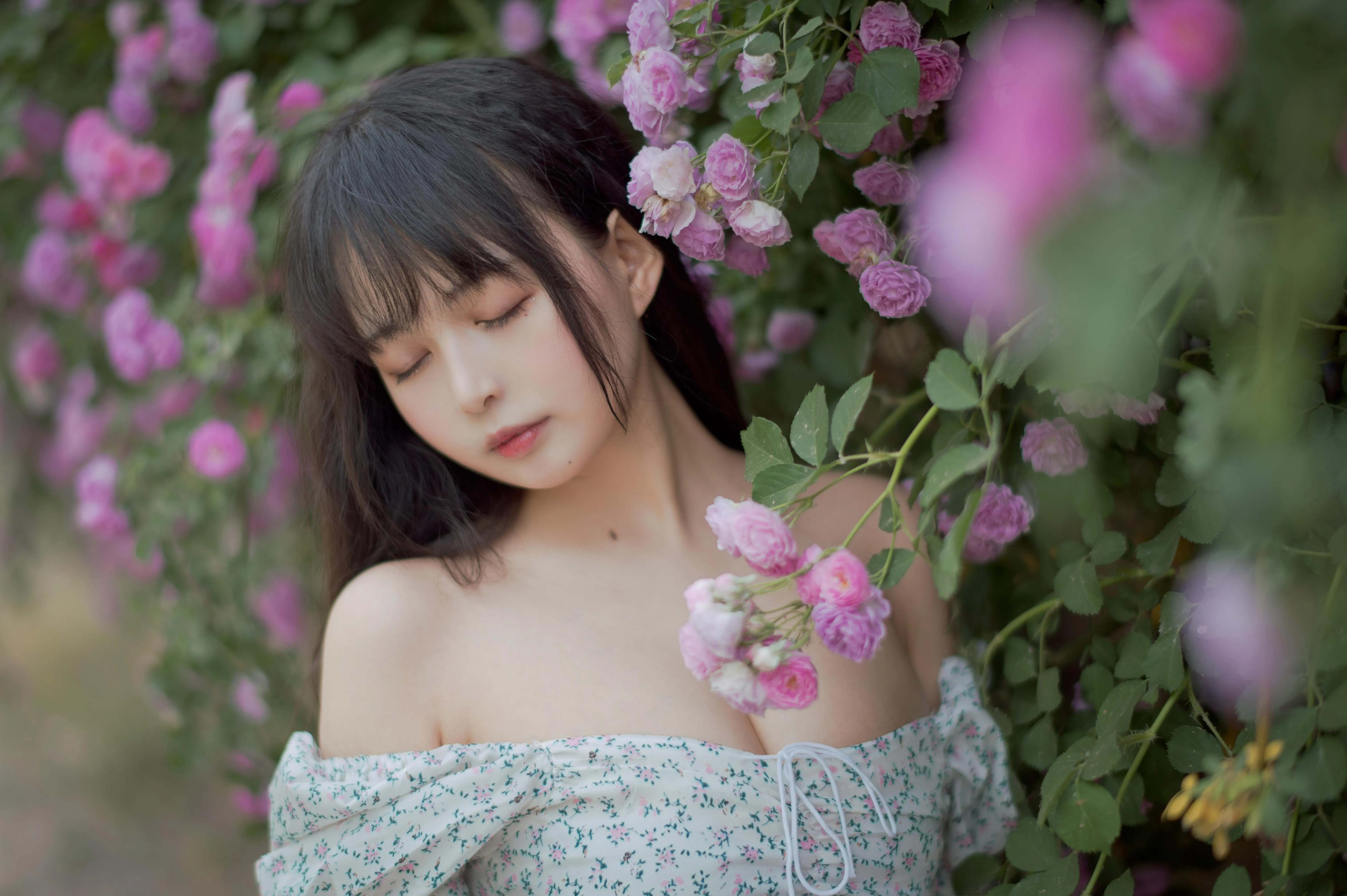 [喵糖映画] VOL.338 蔷薇少女[24P]插图1