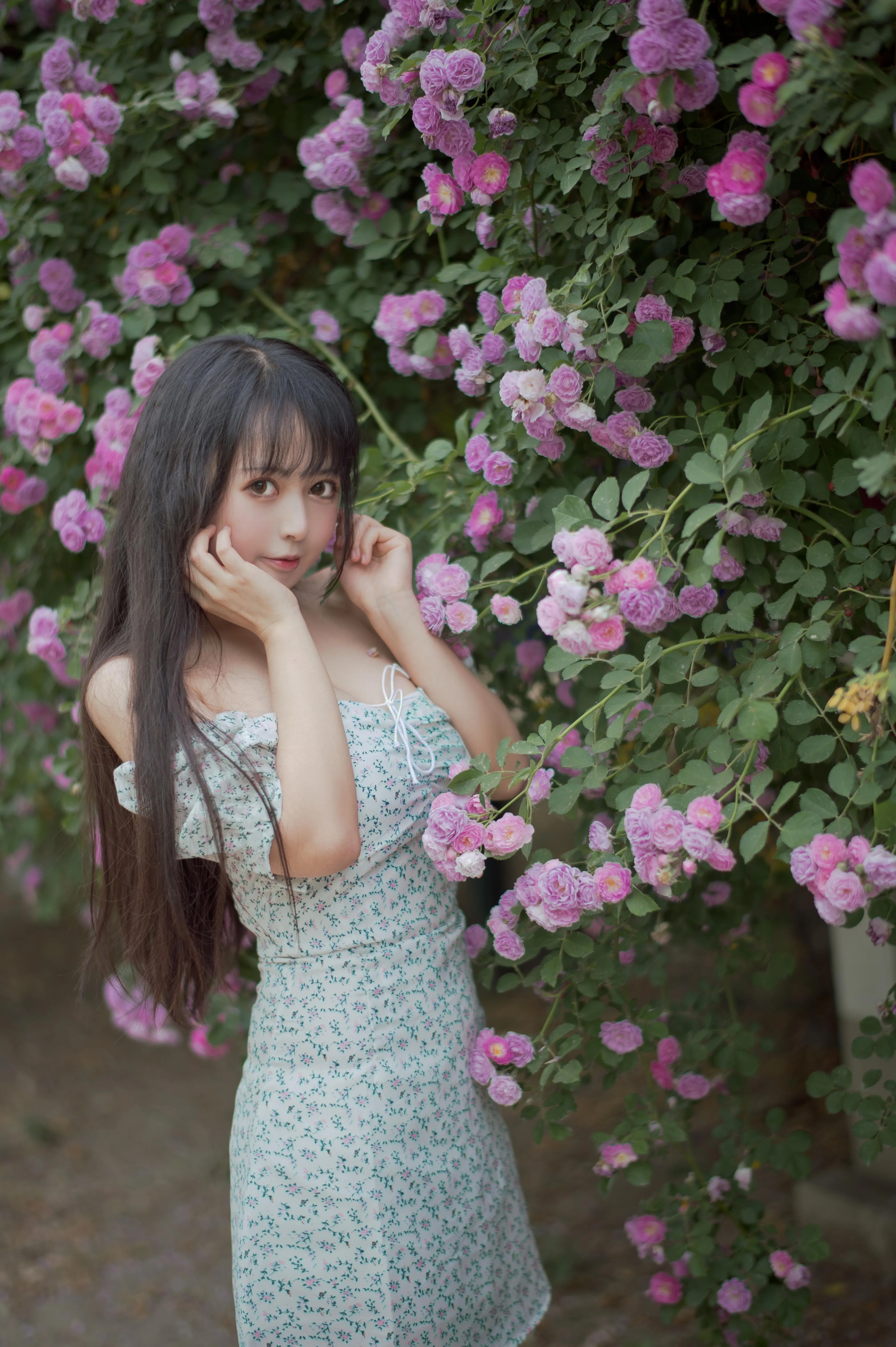 [喵糖映画] VOL.338 蔷薇少女[24P]插图3