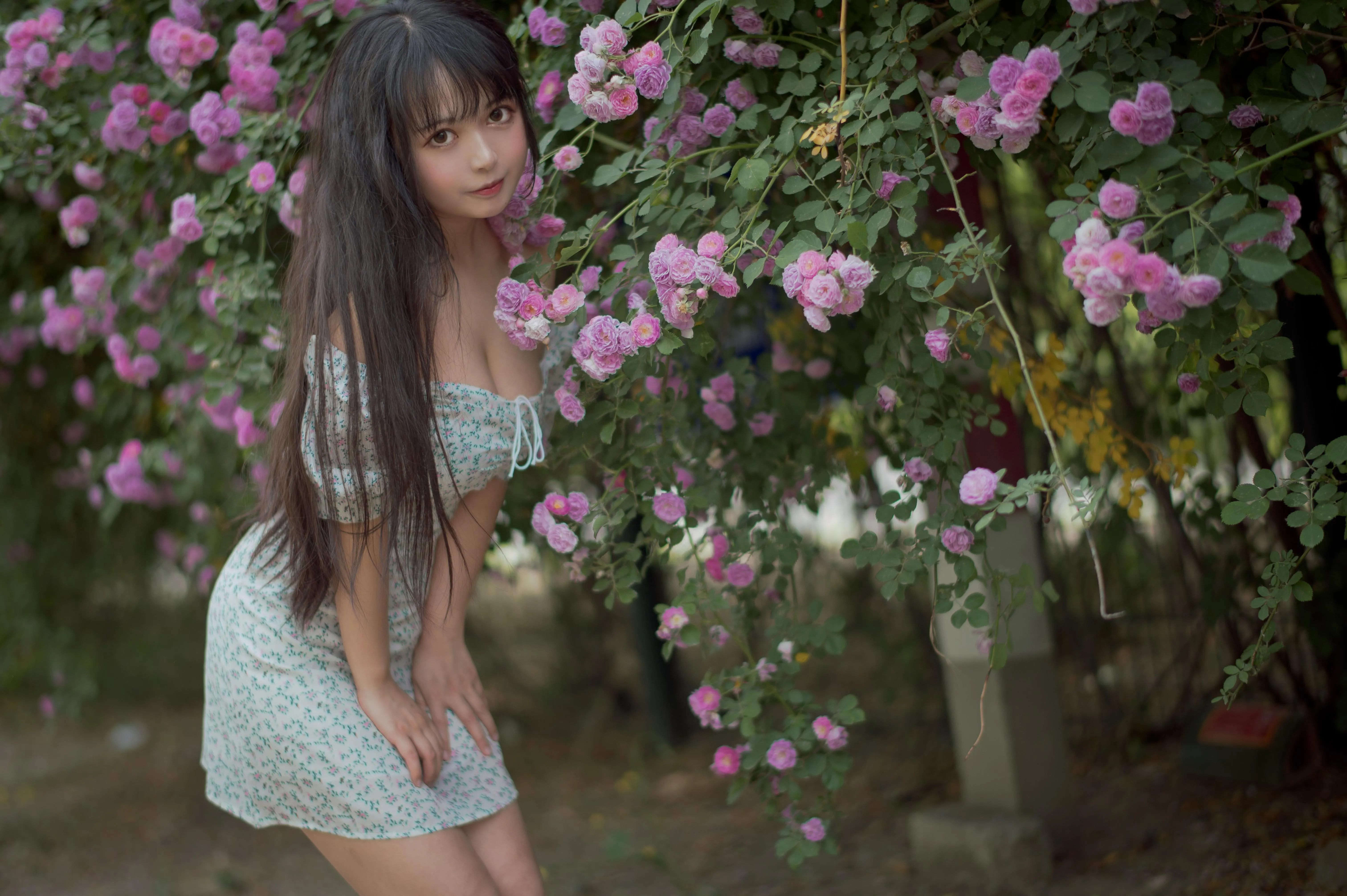 [喵糖映画] VOL.338 蔷薇少女[24P]插图5