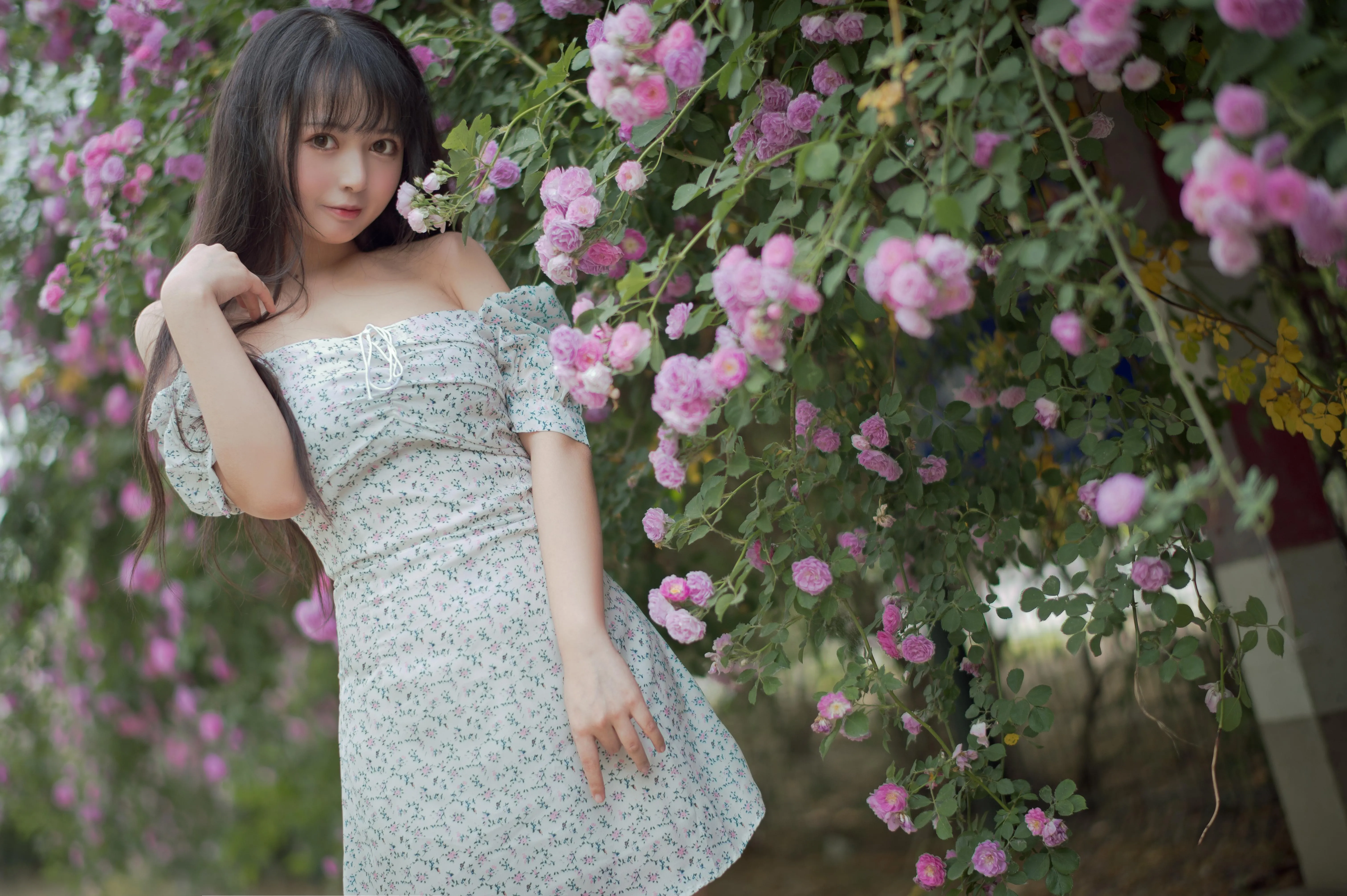 [喵糖映画] VOL.338 蔷薇少女[24P]插图7