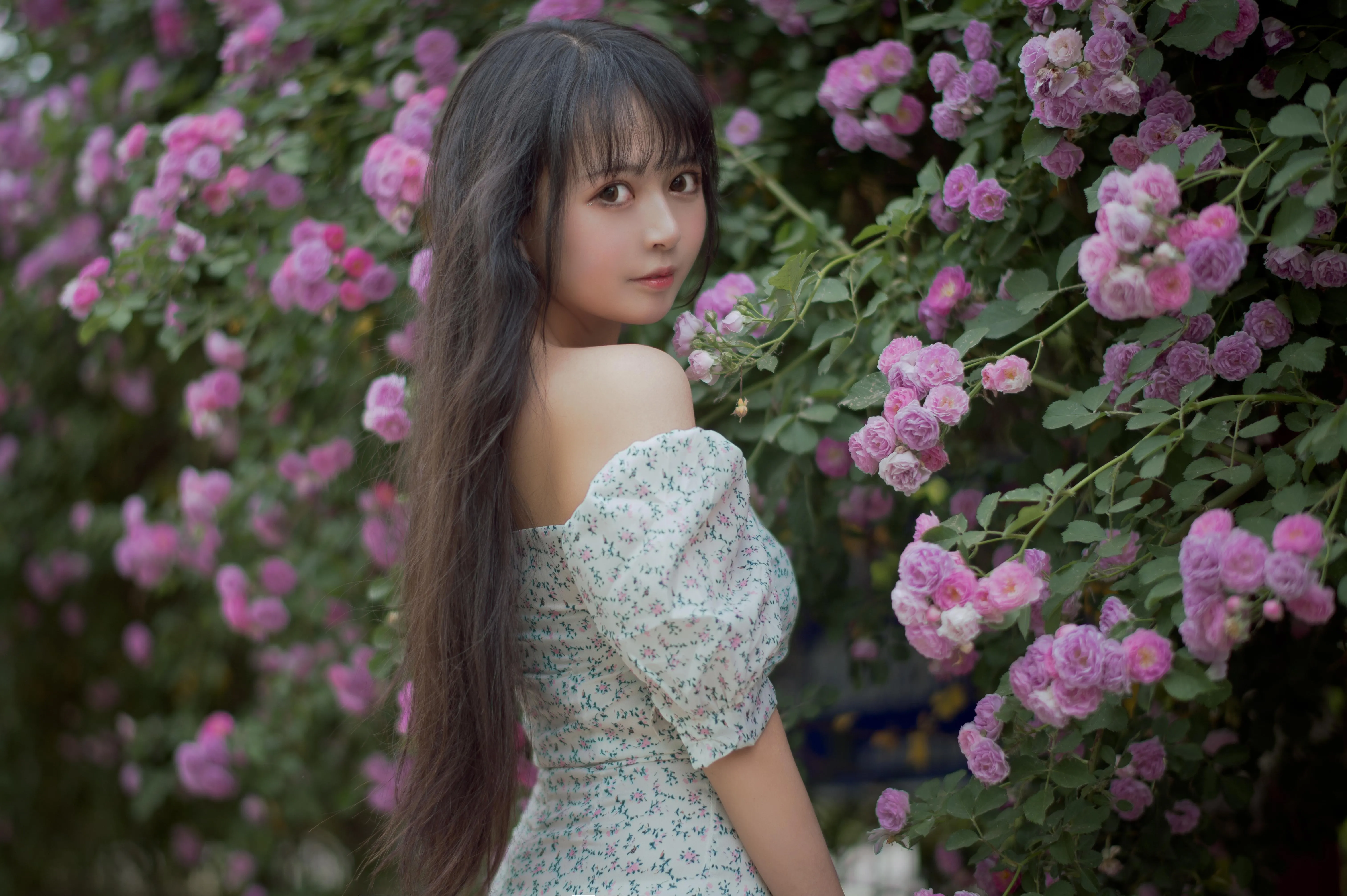 [喵糖映画] VOL.338 蔷薇少女[24P]插图