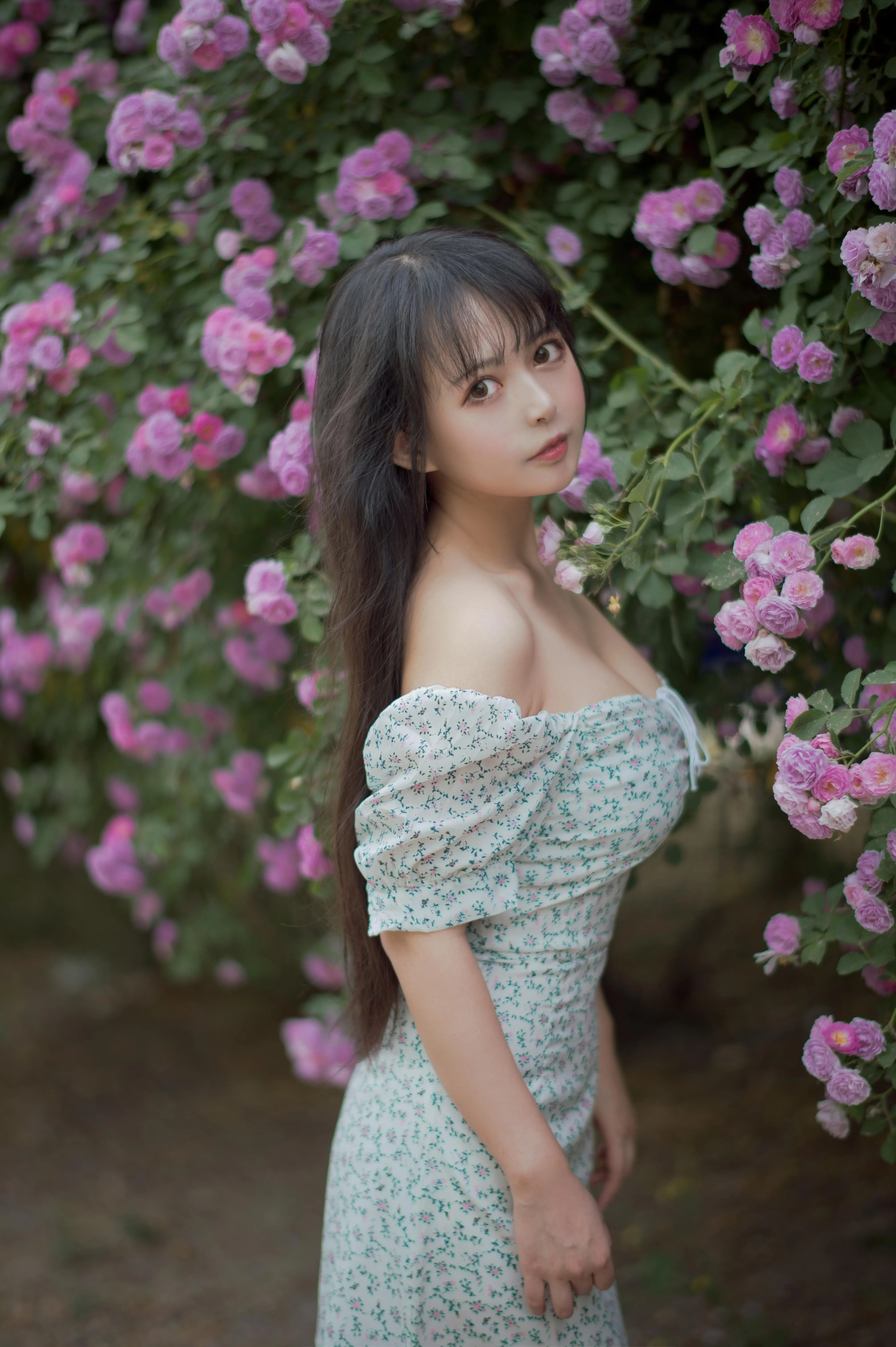 [喵糖映画] VOL.338 蔷薇少女[24P]插图1