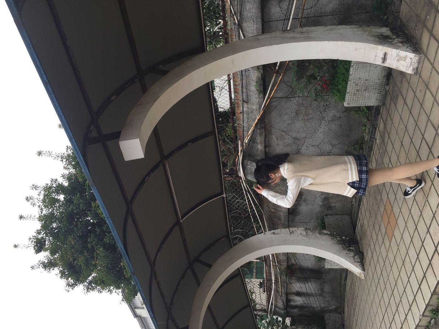 [最爱帆布鞋]ZAFBX-004[181P]插图9