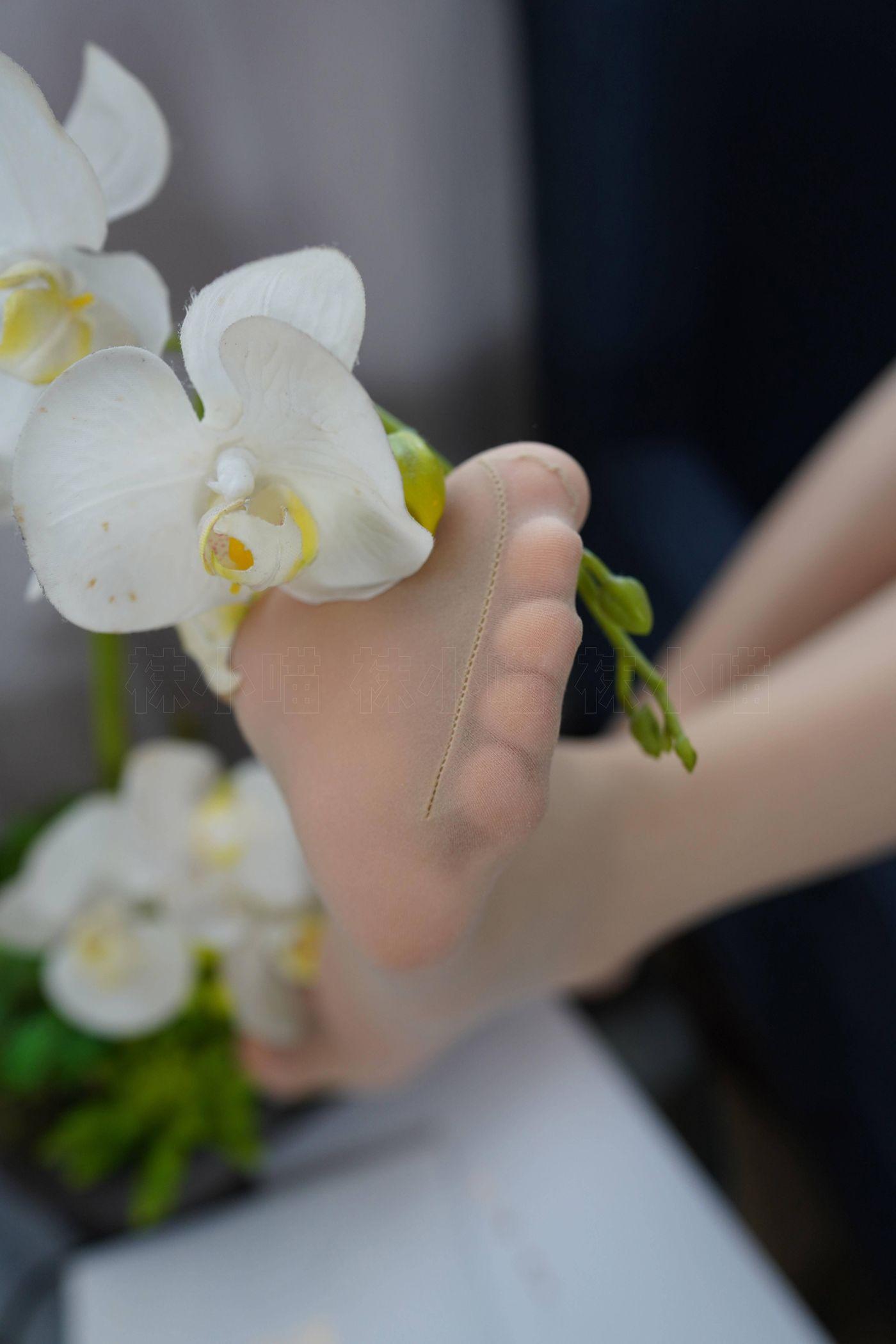 袜小喵 KT252 浅蓝连衣裙 [88P]插图9