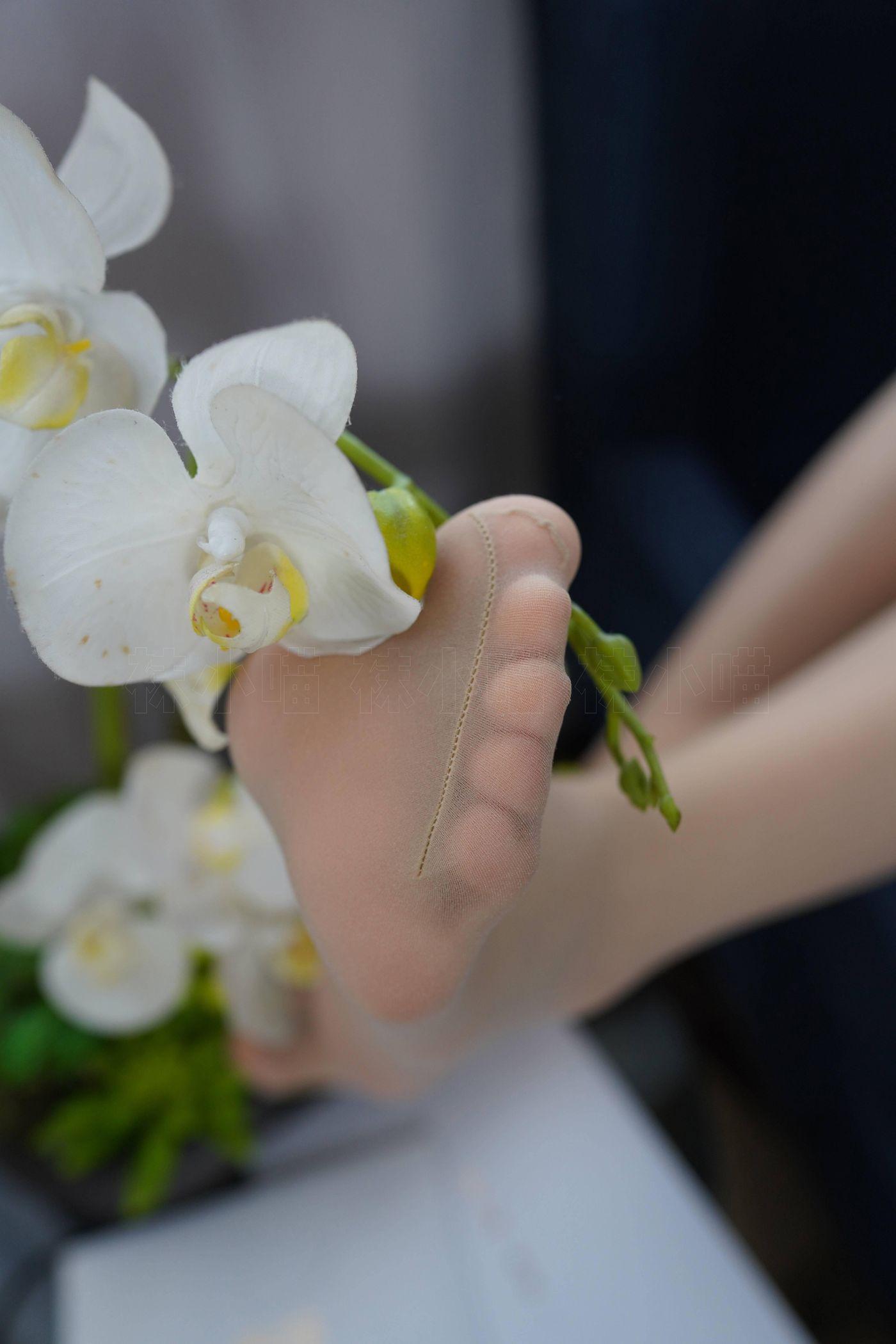 袜小喵 KT252 浅蓝连衣裙 [88P]插图