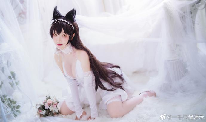 [一千只猫薄禾] 05 微博图 -碧蓝航线——犬[15P]插图5