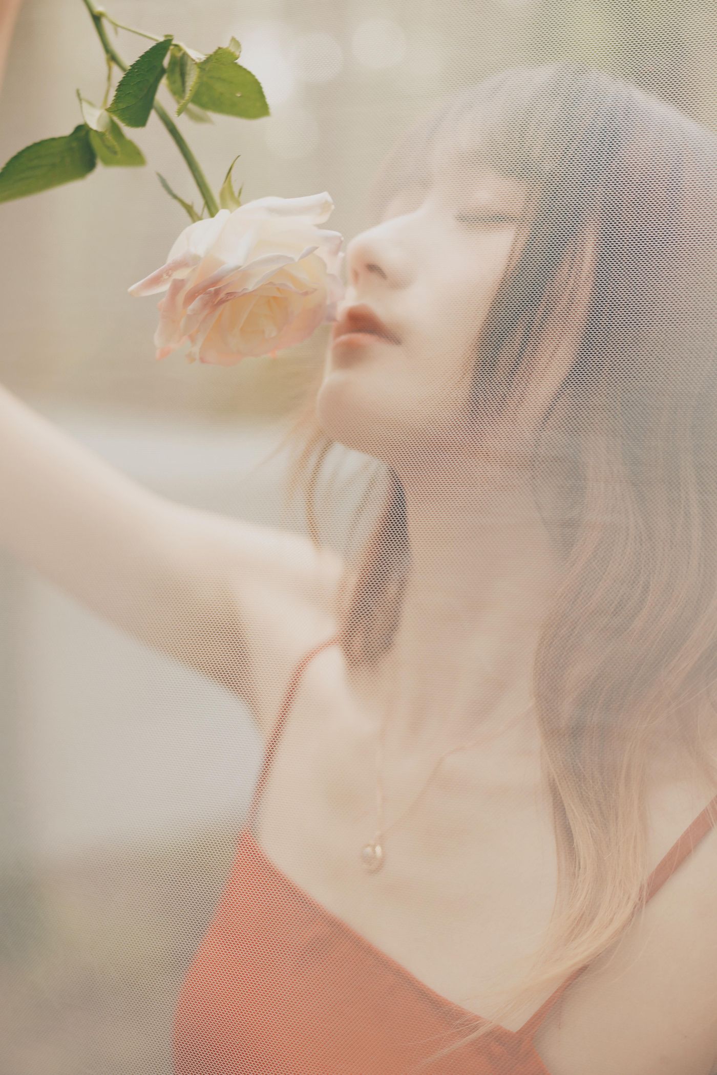 兔子Zzz不吃胡萝卜 NO.040 闯入迷雾森林[25P]插图5