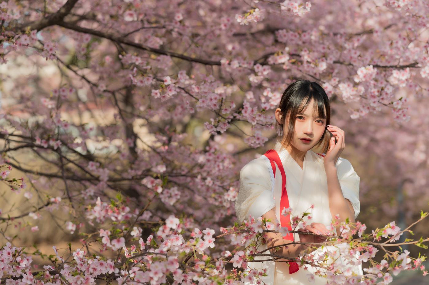 兔子Zzz不吃胡萝卜 NO.069 樱语[27P]插图6