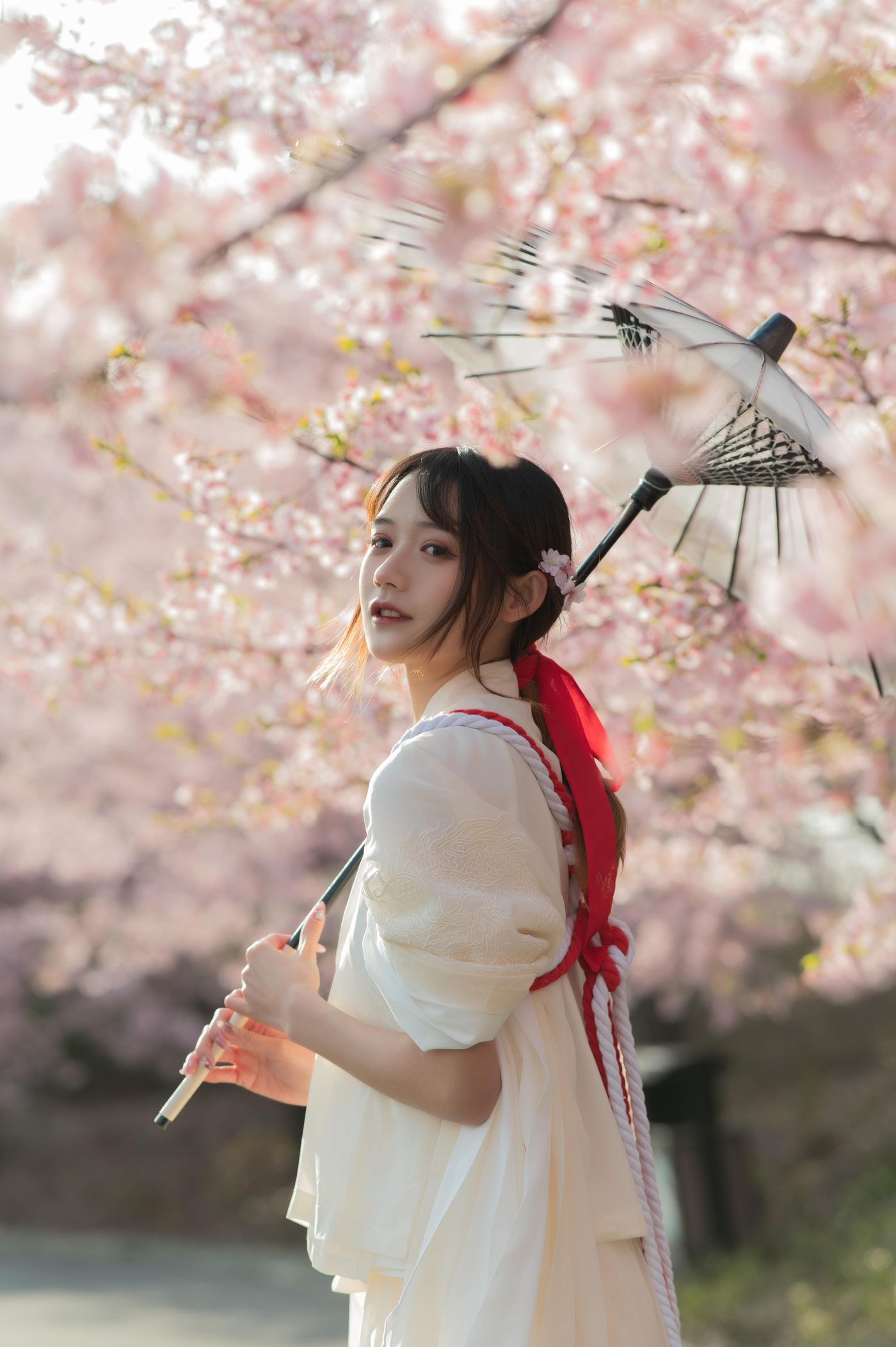 兔子Zzz不吃胡萝卜 NO.069 樱语[27P]插图1