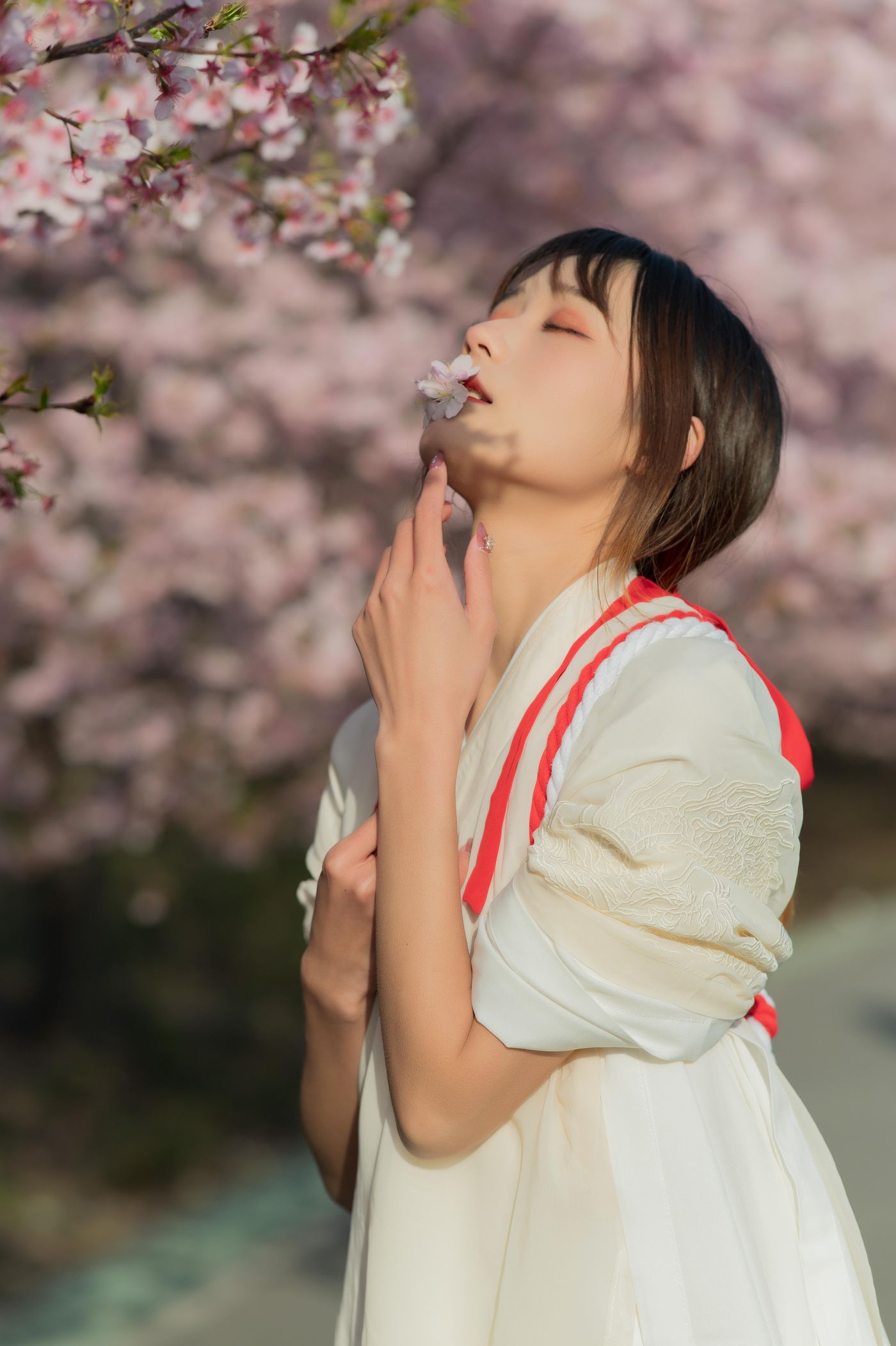 兔子Zzz不吃胡萝卜 NO.069 樱语[27P]插图2