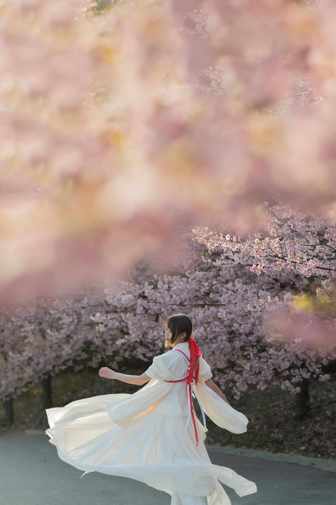 兔子Zzz不吃胡萝卜 NO.069 樱语[27P]插图4