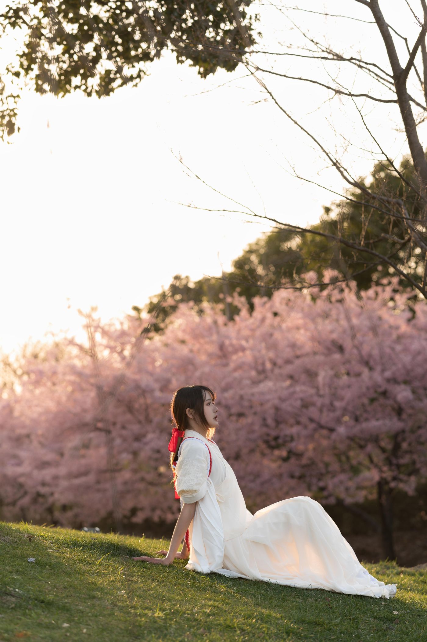 兔子Zzz不吃胡萝卜 NO.069 樱语[27P]插图5