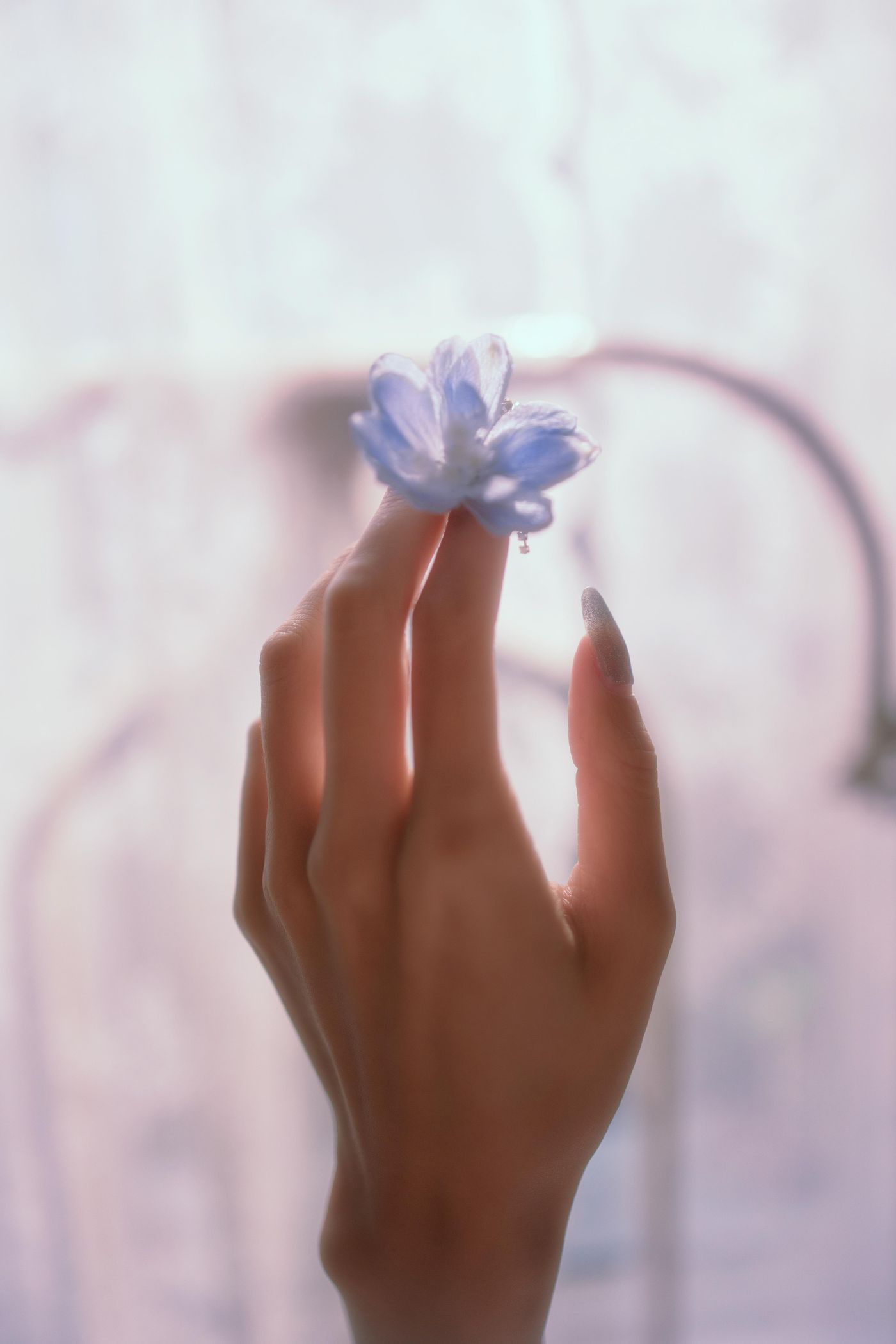 兔子Zzz不吃胡萝卜 NO.044 蓝风铃[27P]插图3