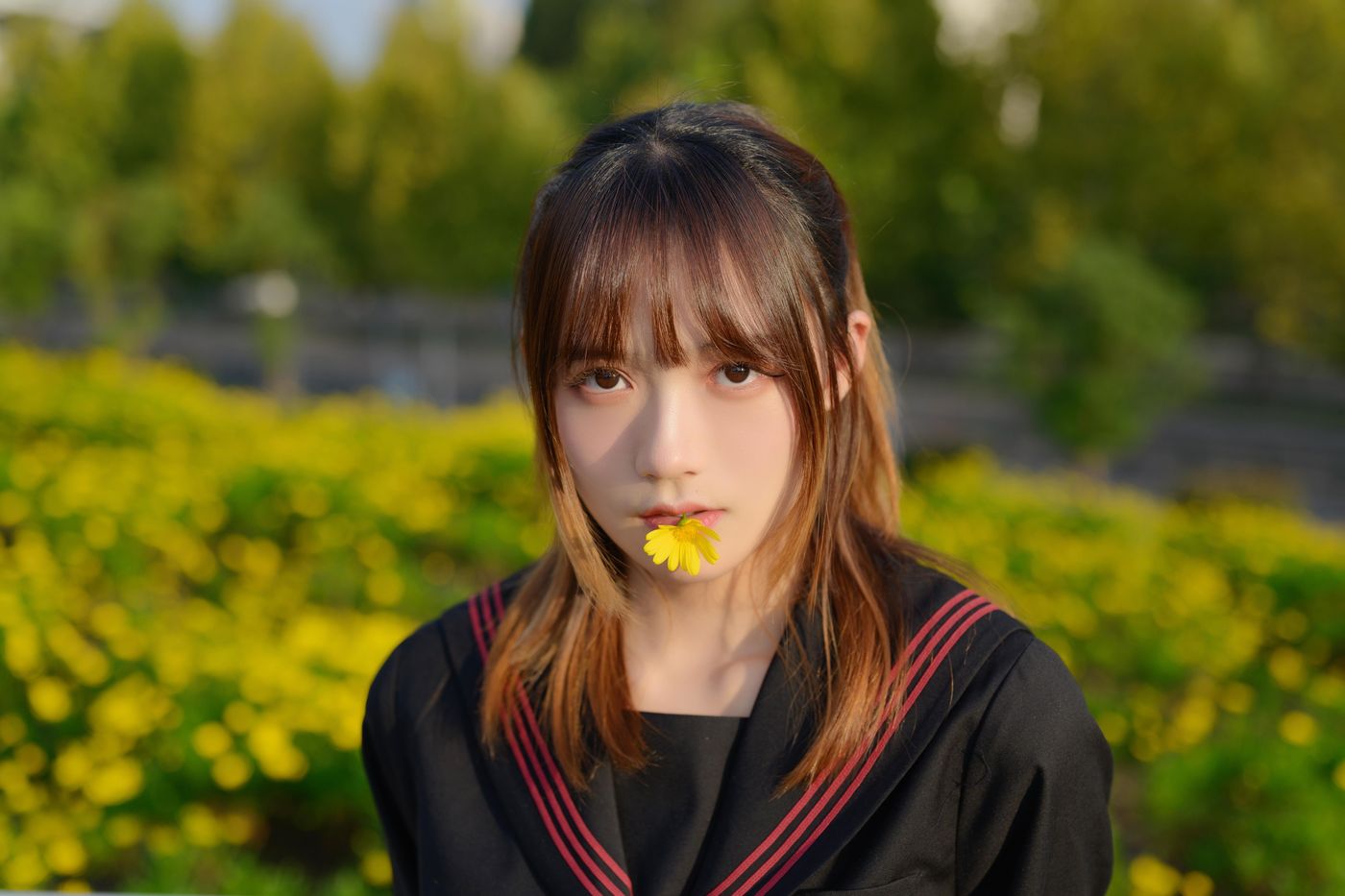 兔子Zzz不吃胡萝卜 NO.083 小花[34P]插图3