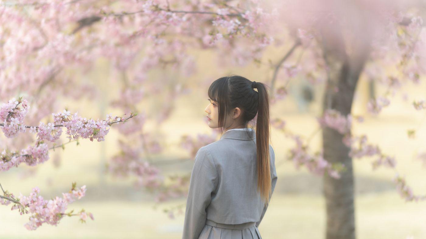 兔子Zzz不吃胡萝卜 NO.032 櫻之聲 [26P]插图6