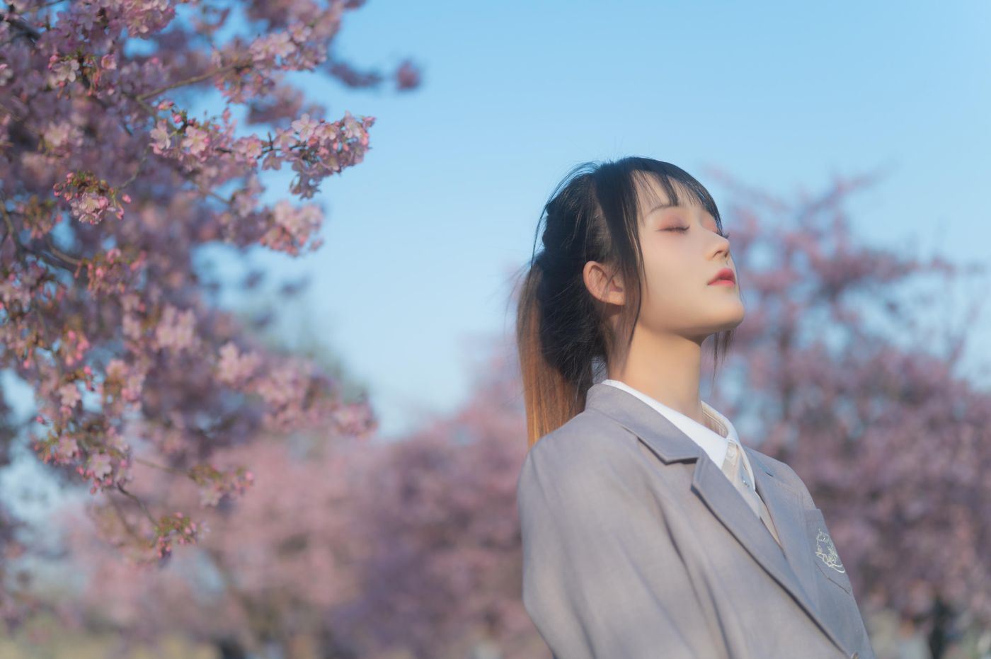 兔子Zzz不吃胡萝卜 NO.032 櫻之聲 [26P]插图5