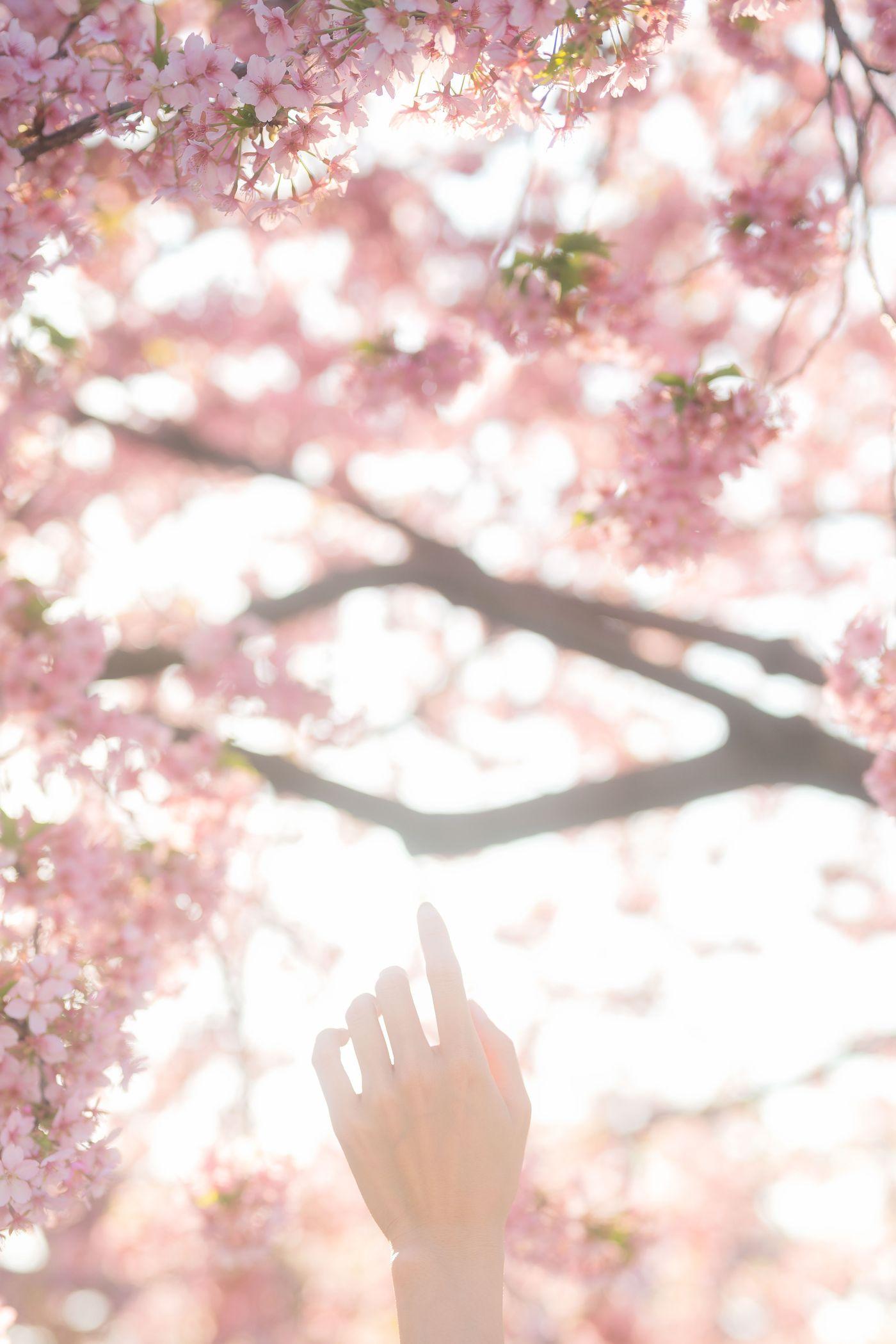 兔子Zzz不吃胡萝卜 NO.035 花满衣[29P]插图8