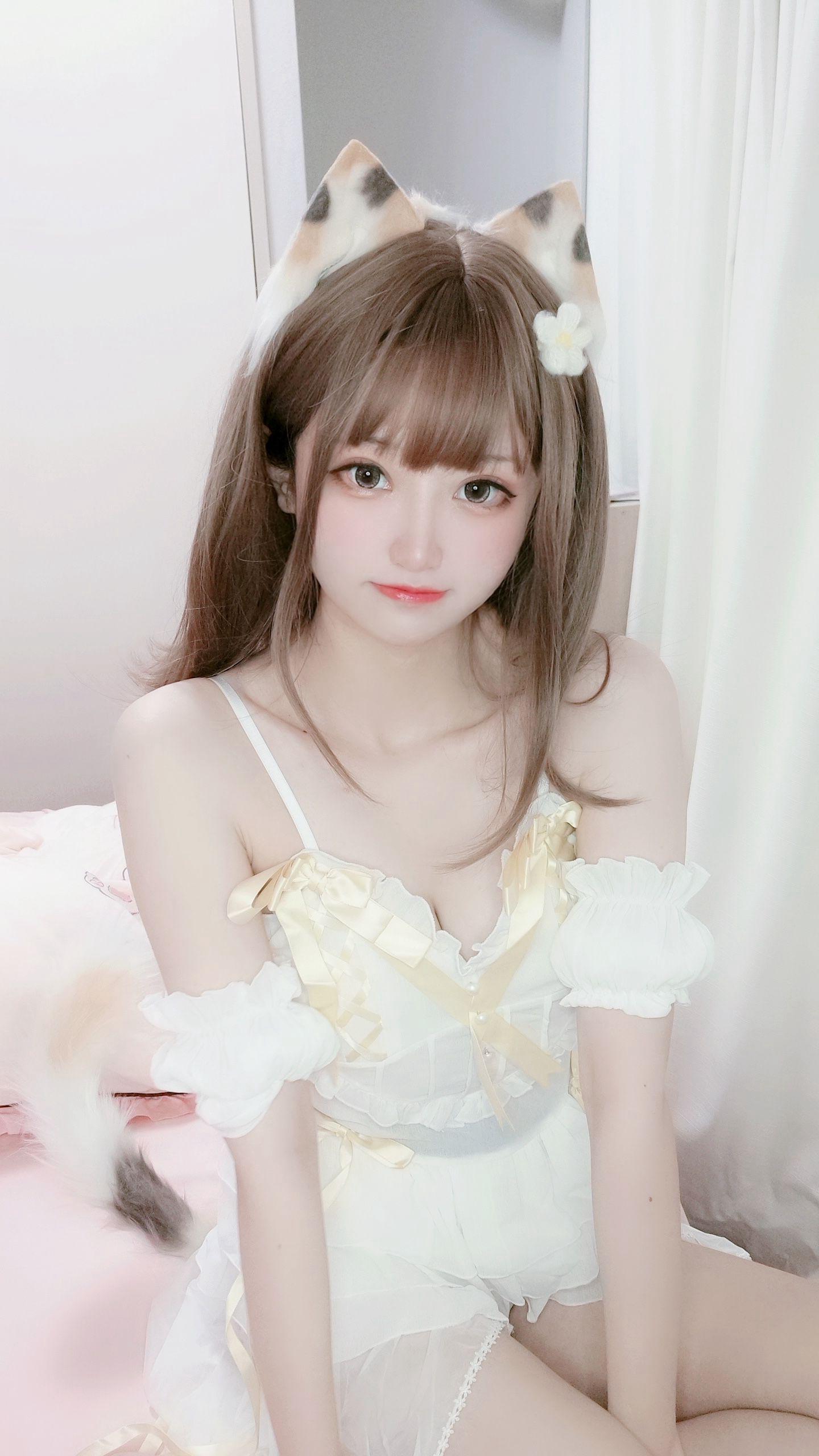 千阳(ちよ) – NO.42 三花猫～ [12P]插图