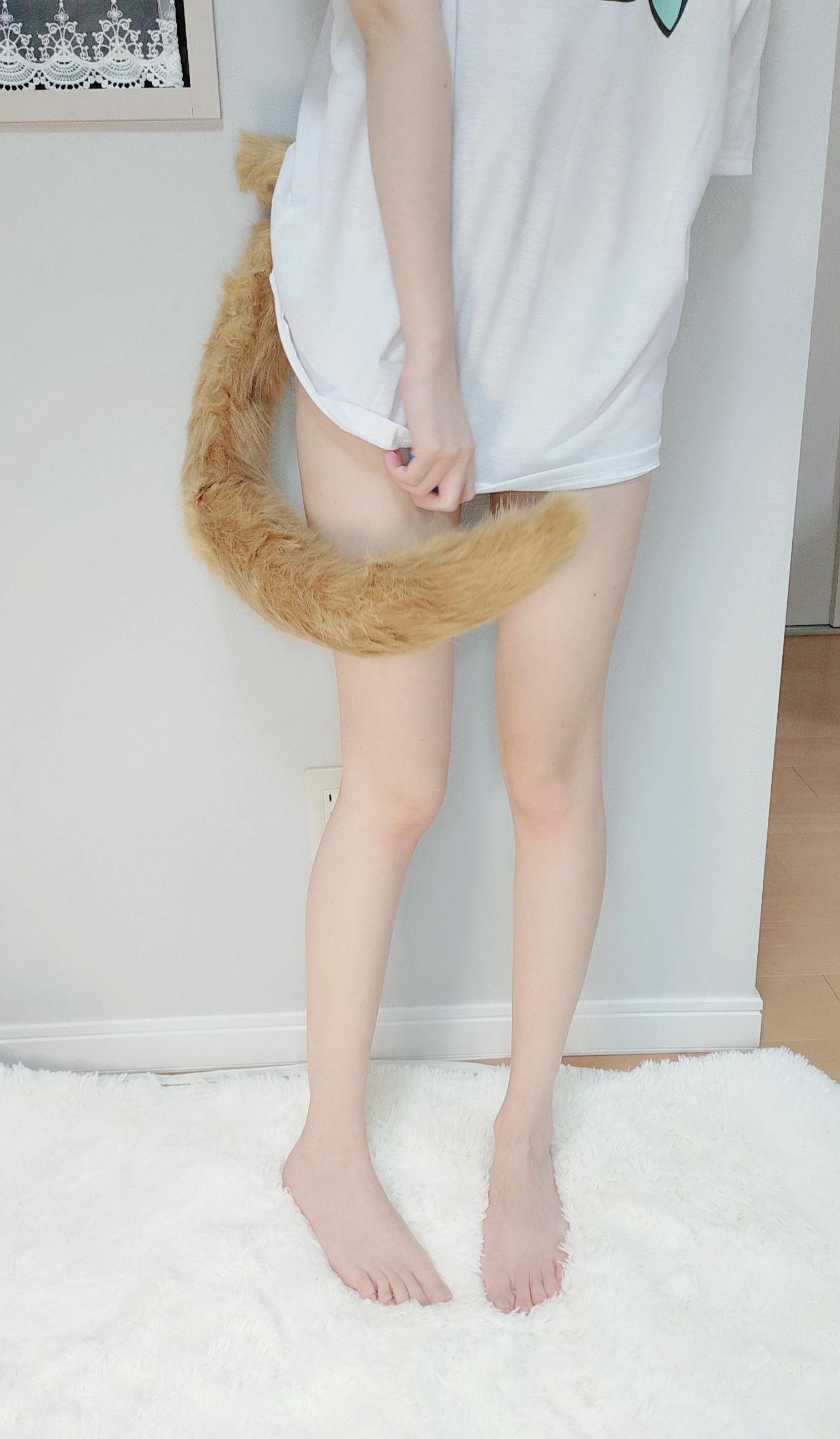 千阳(ちよ) – NO.01 40原设猫猫 [13P]插图7