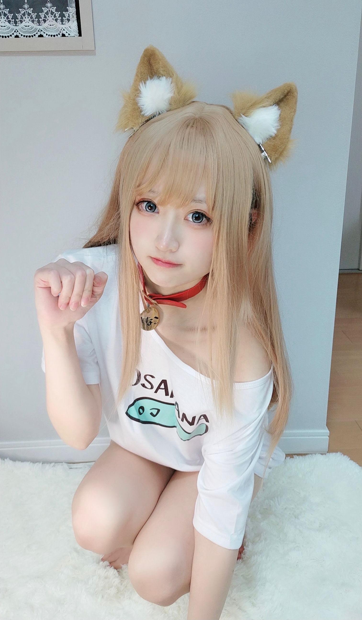 千阳(ちよ) – NO.01 40原设猫猫 [13P]插图1