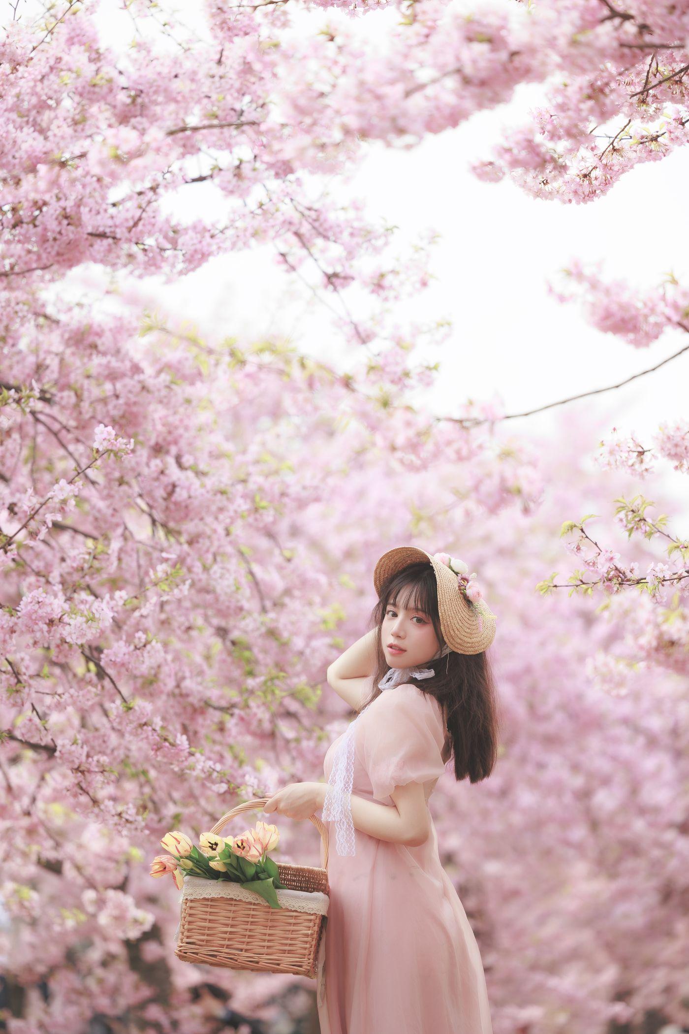 贰加六 NO.014 樱之浪漫[23P]插图8