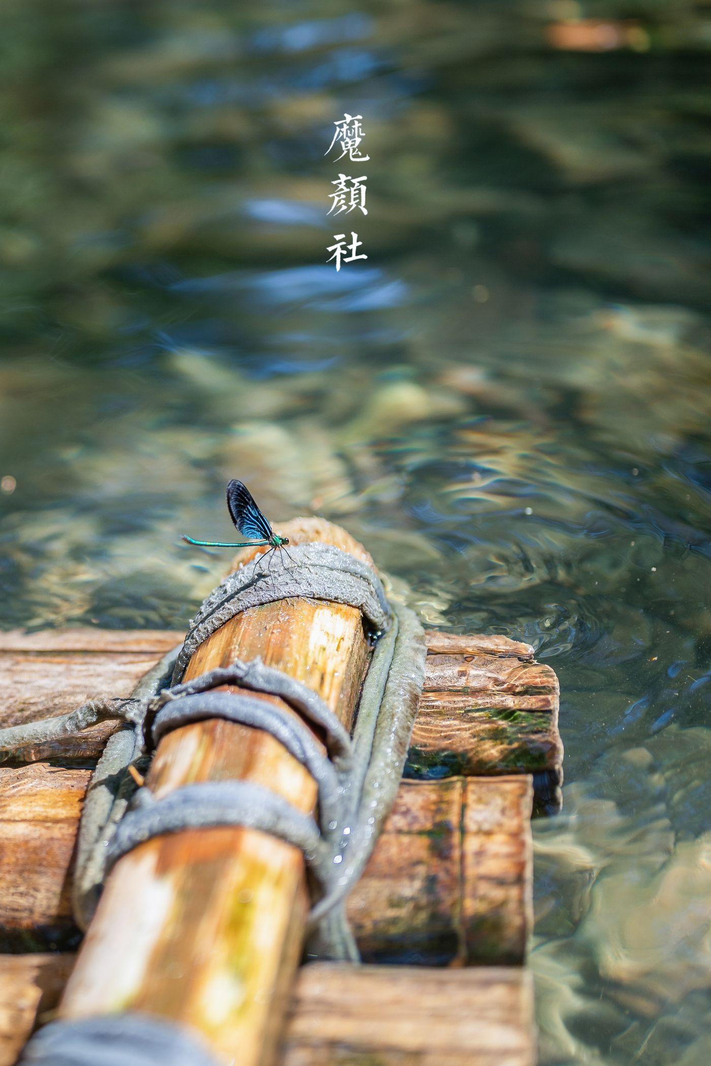 贰加六 NO.023 泛舟记[43P]插图9