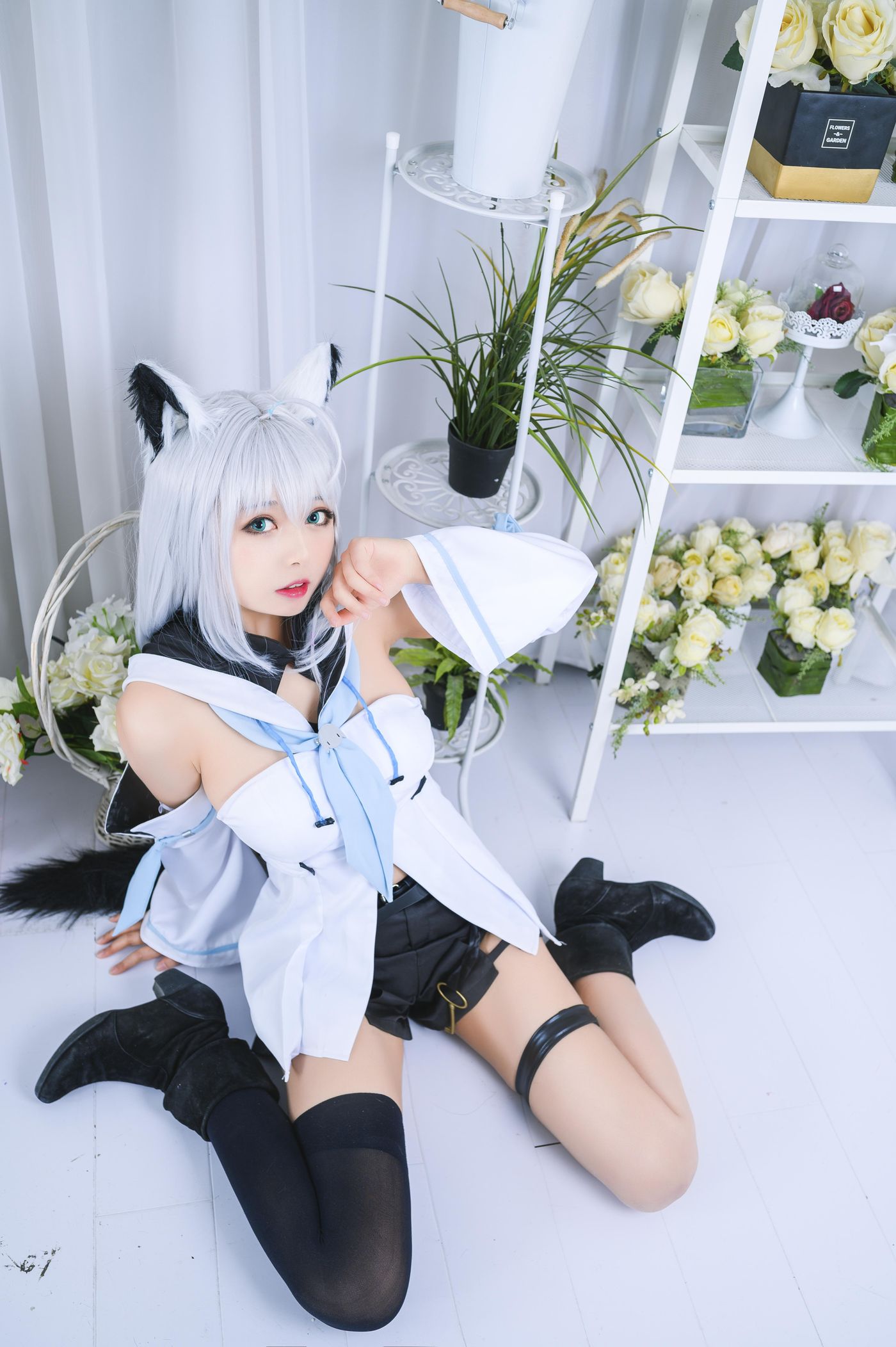 黑猫猫 NO.016 白上吹雪 [12P]插图6