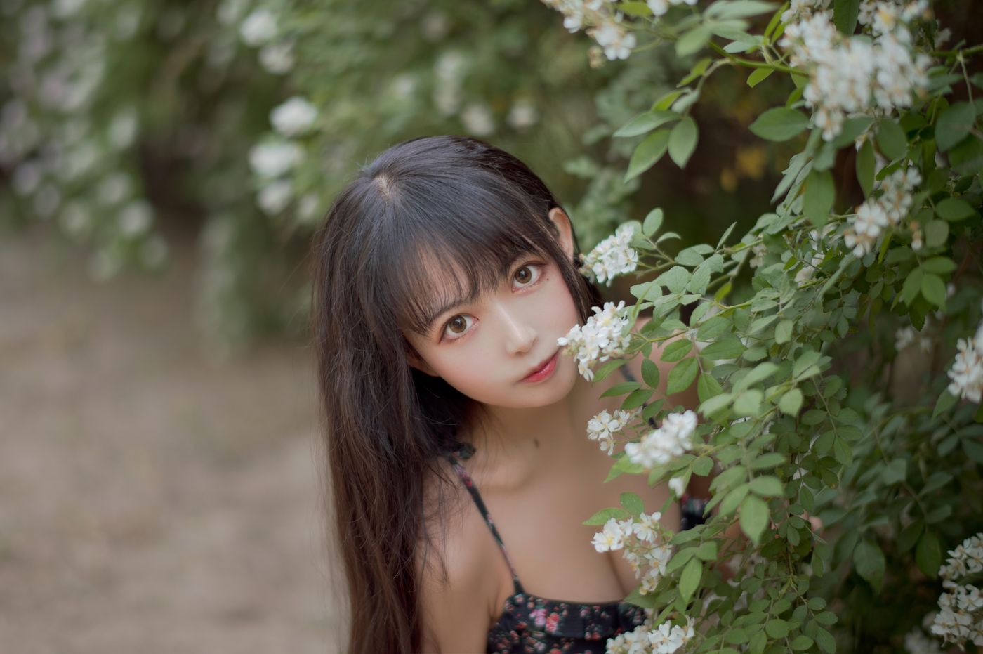 黑猫猫 NO.021 蔷薇1 [22P]插图9