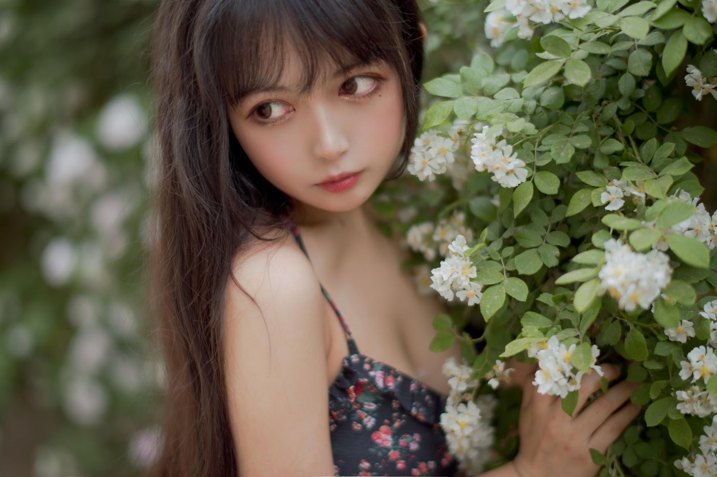 黑猫猫 NO.021 蔷薇1 [22P]插图1