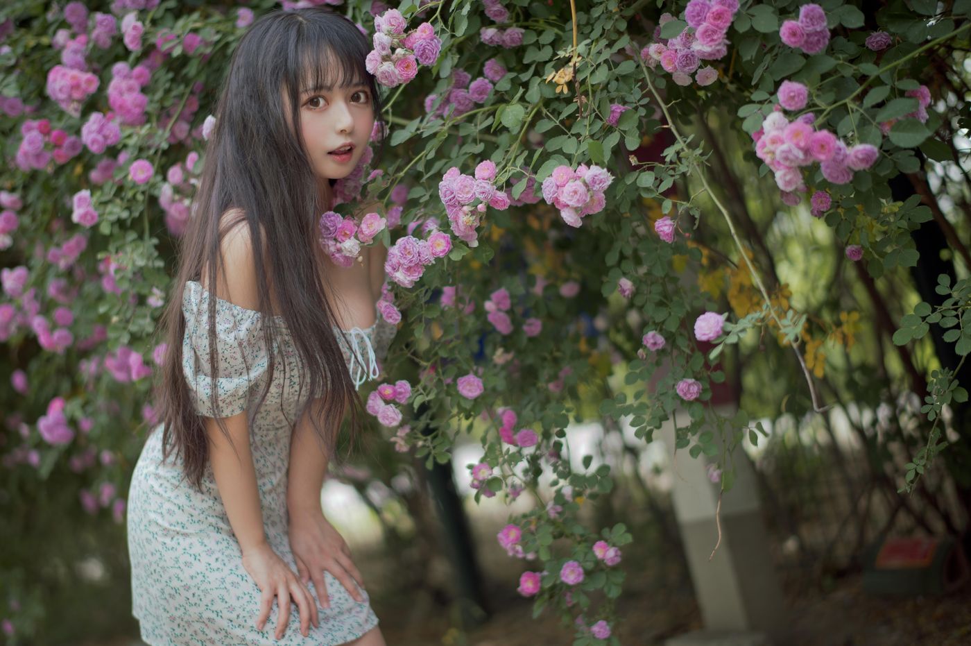 黑猫猫 NO.022 蔷薇2 [27P]插图7