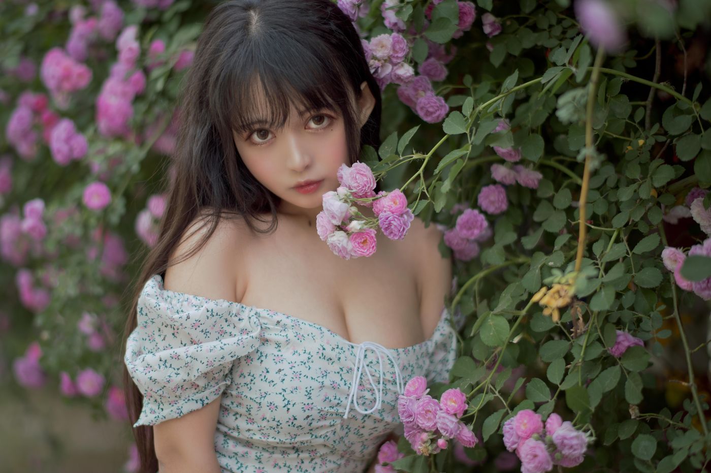 黑猫猫 NO.022 蔷薇2 [27P]插图4